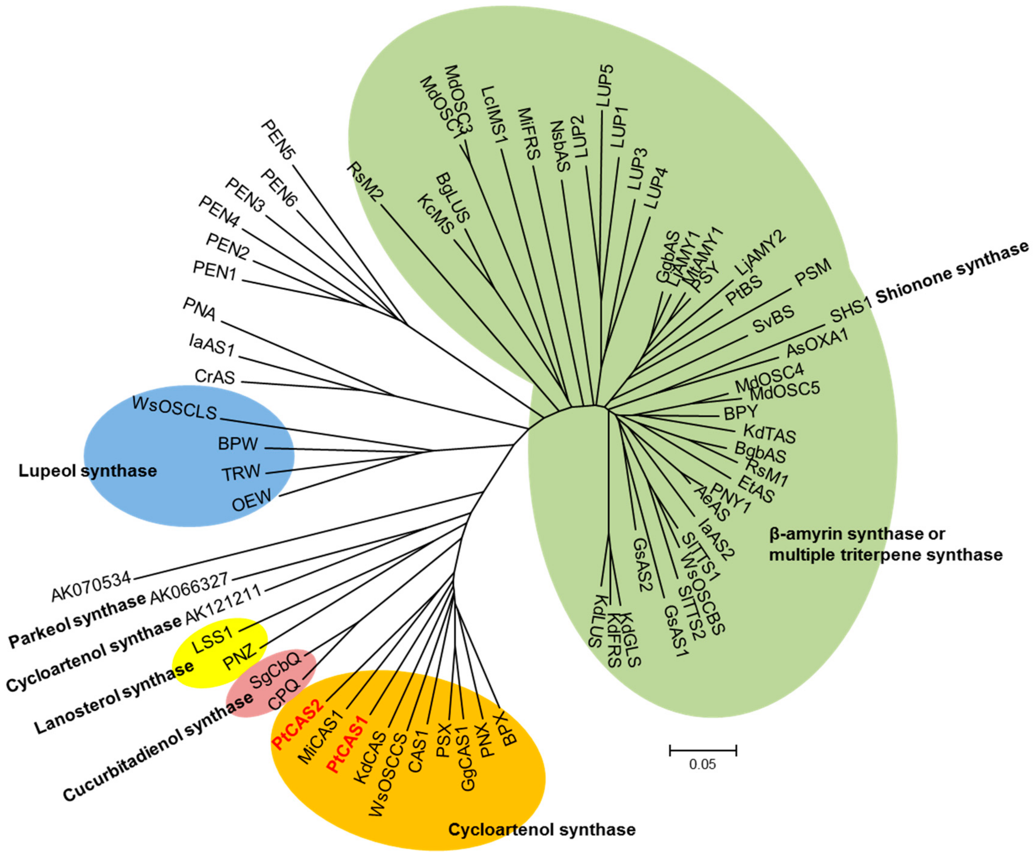 Ijms 18 02426 g004 550