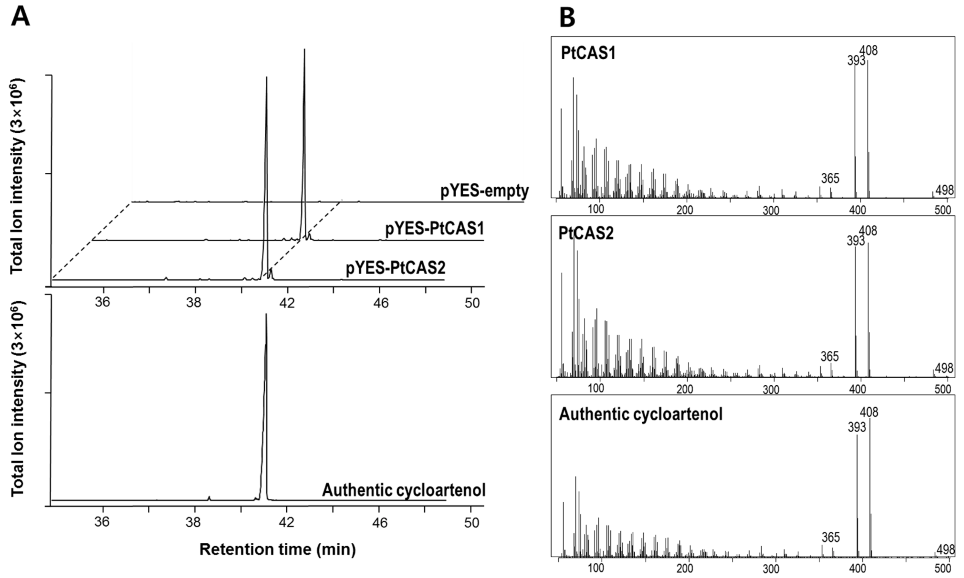 Ijms 18 02426 g005 550