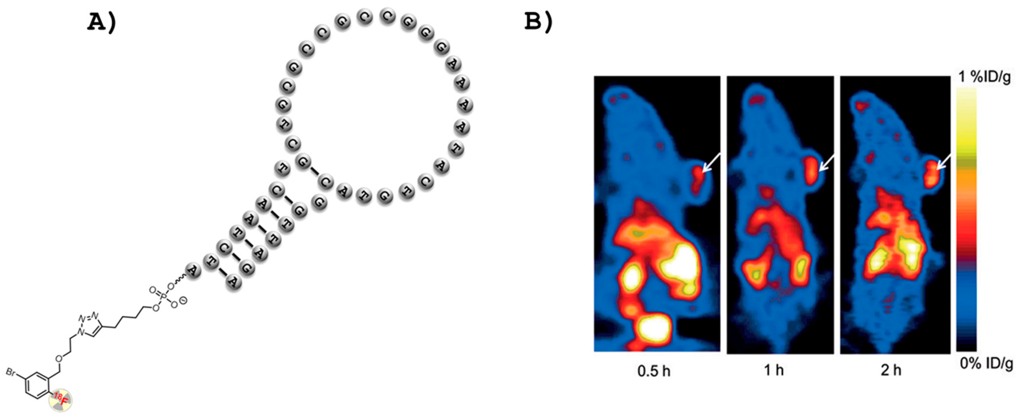 Nucleic Acid Aptamers: Emerging Applications in Medical