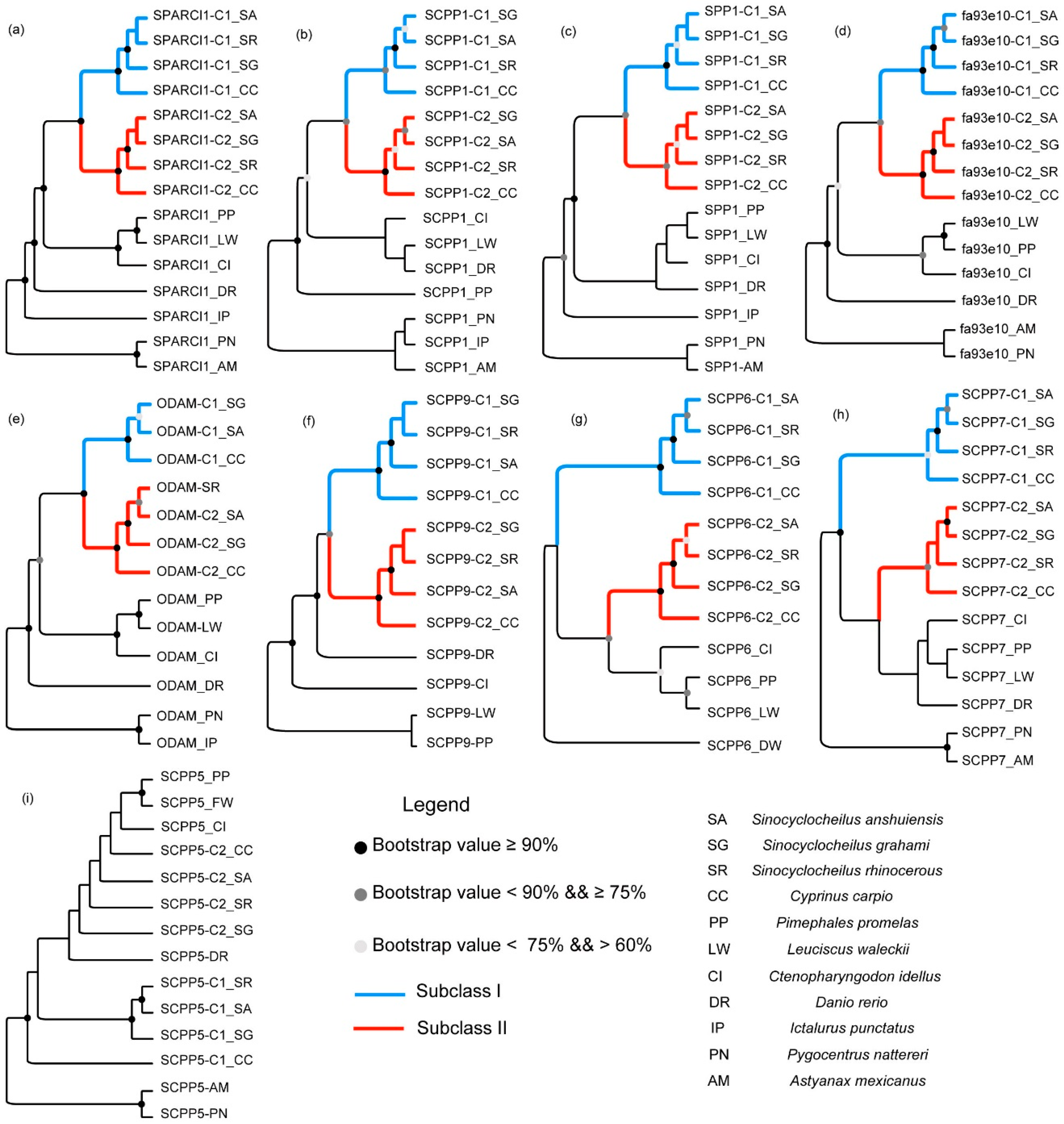 Ijms 18 02432 g002 Ijms 18 02432 g002