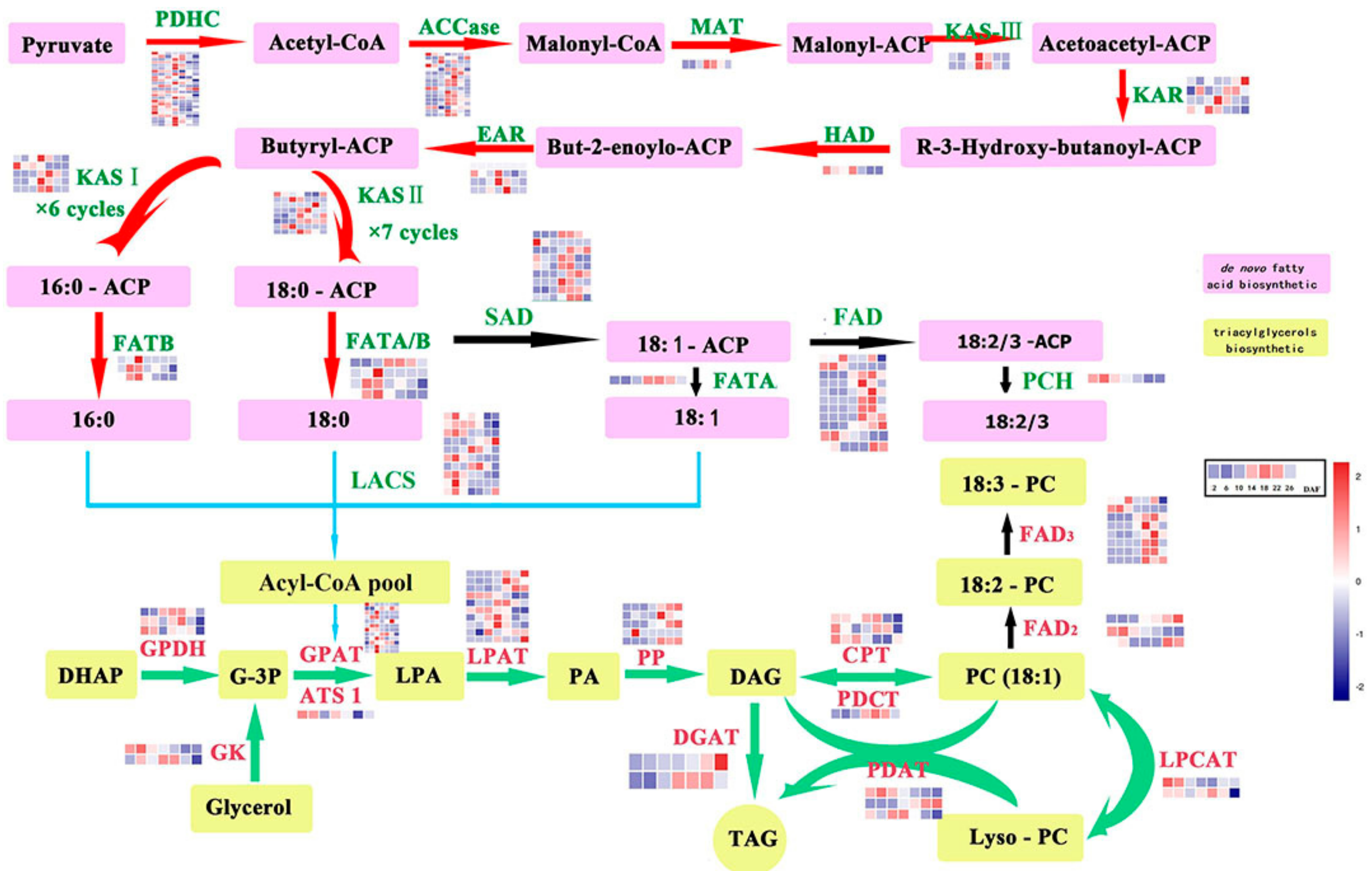 Ijms 18 02433 g002 Ijms 18 02433 g002