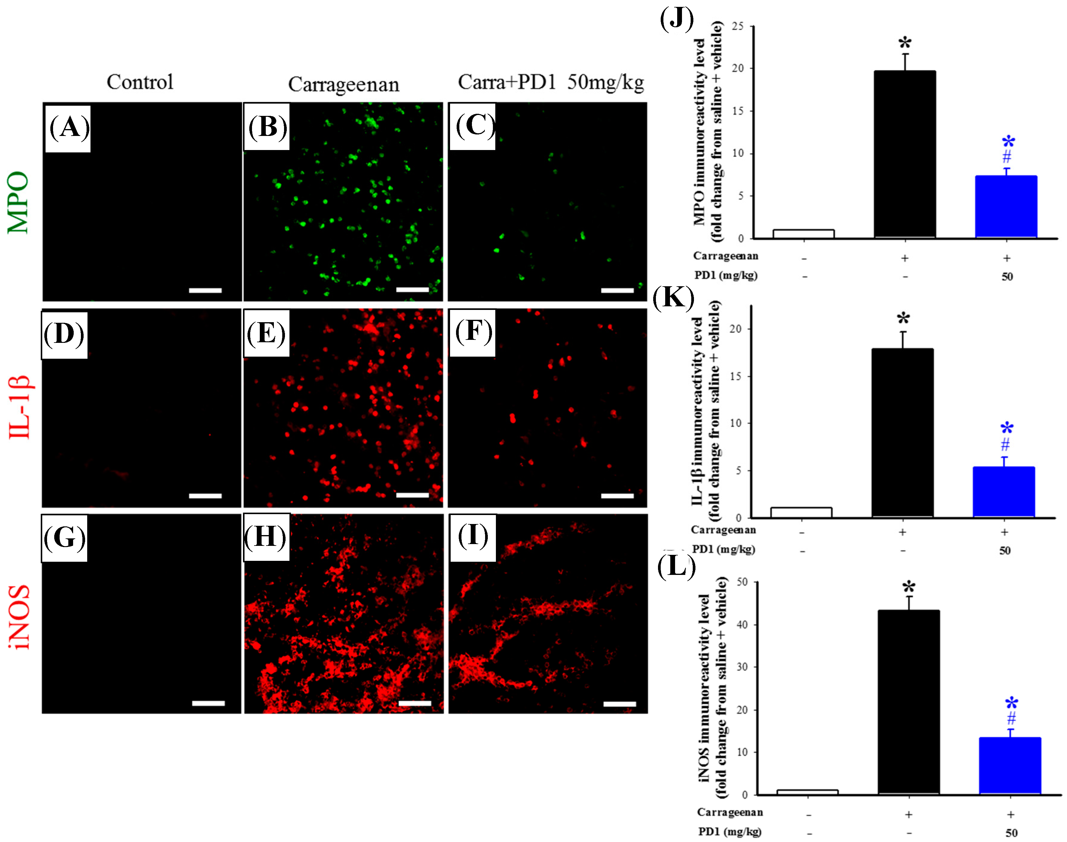 Ijms 18 02437 g005 550
