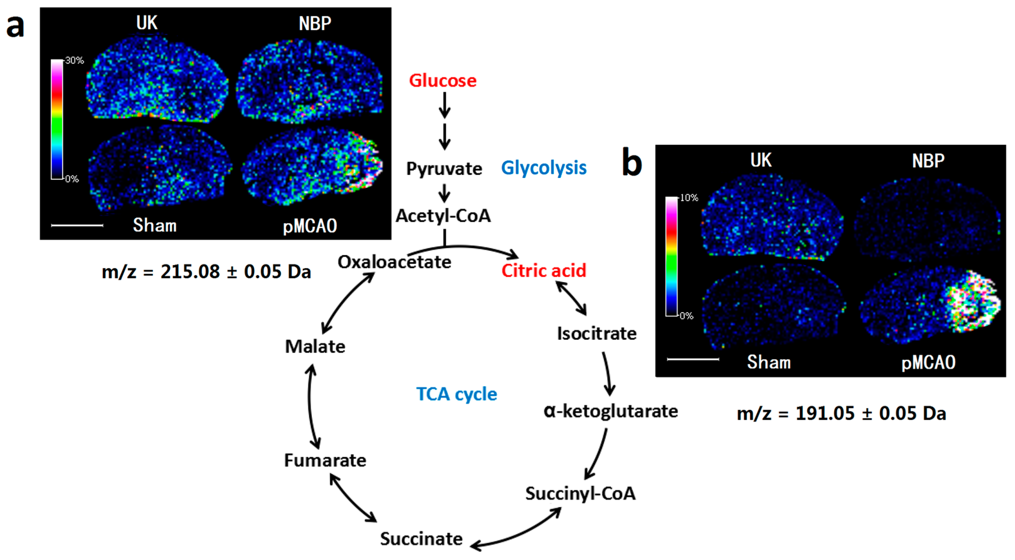 Ijms 18 02451 g003 550
