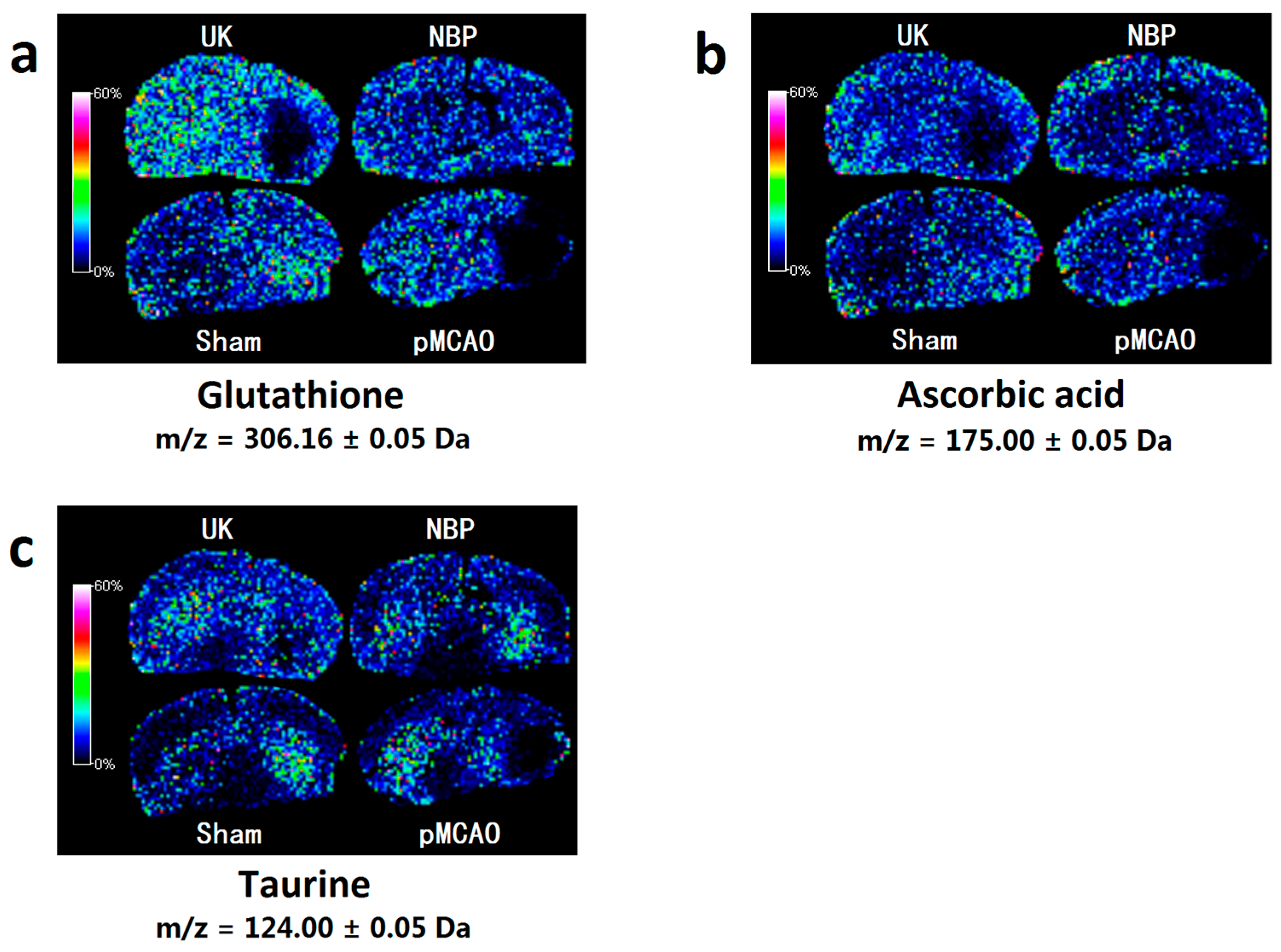 Ijms 18 02451 g007 550