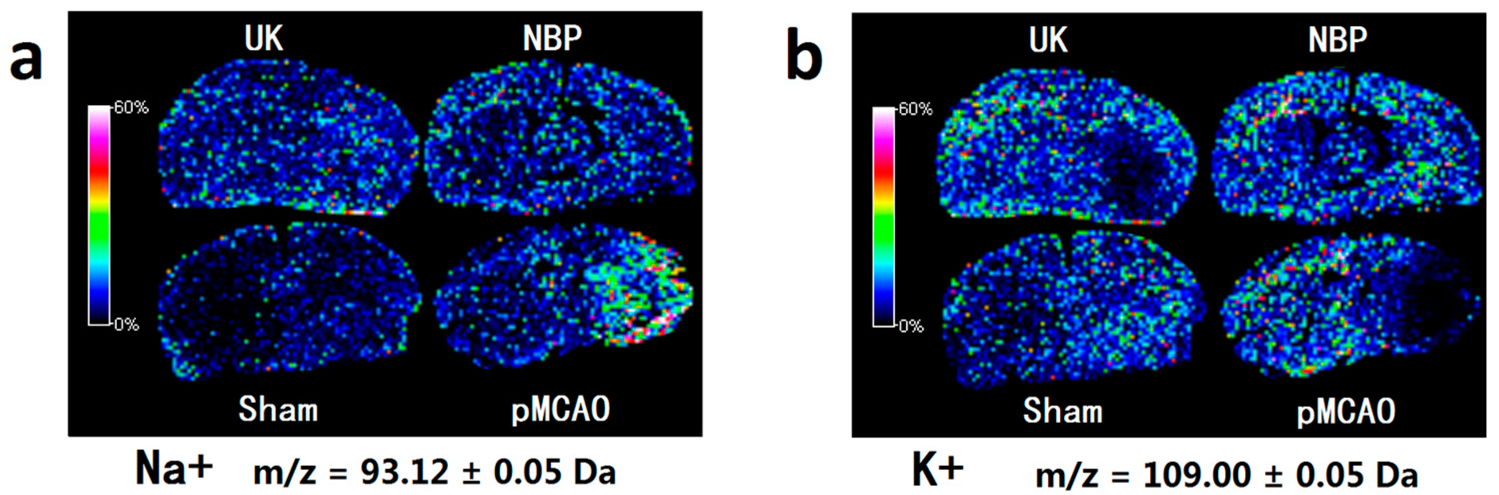 Ijms 18 02451 g008 550