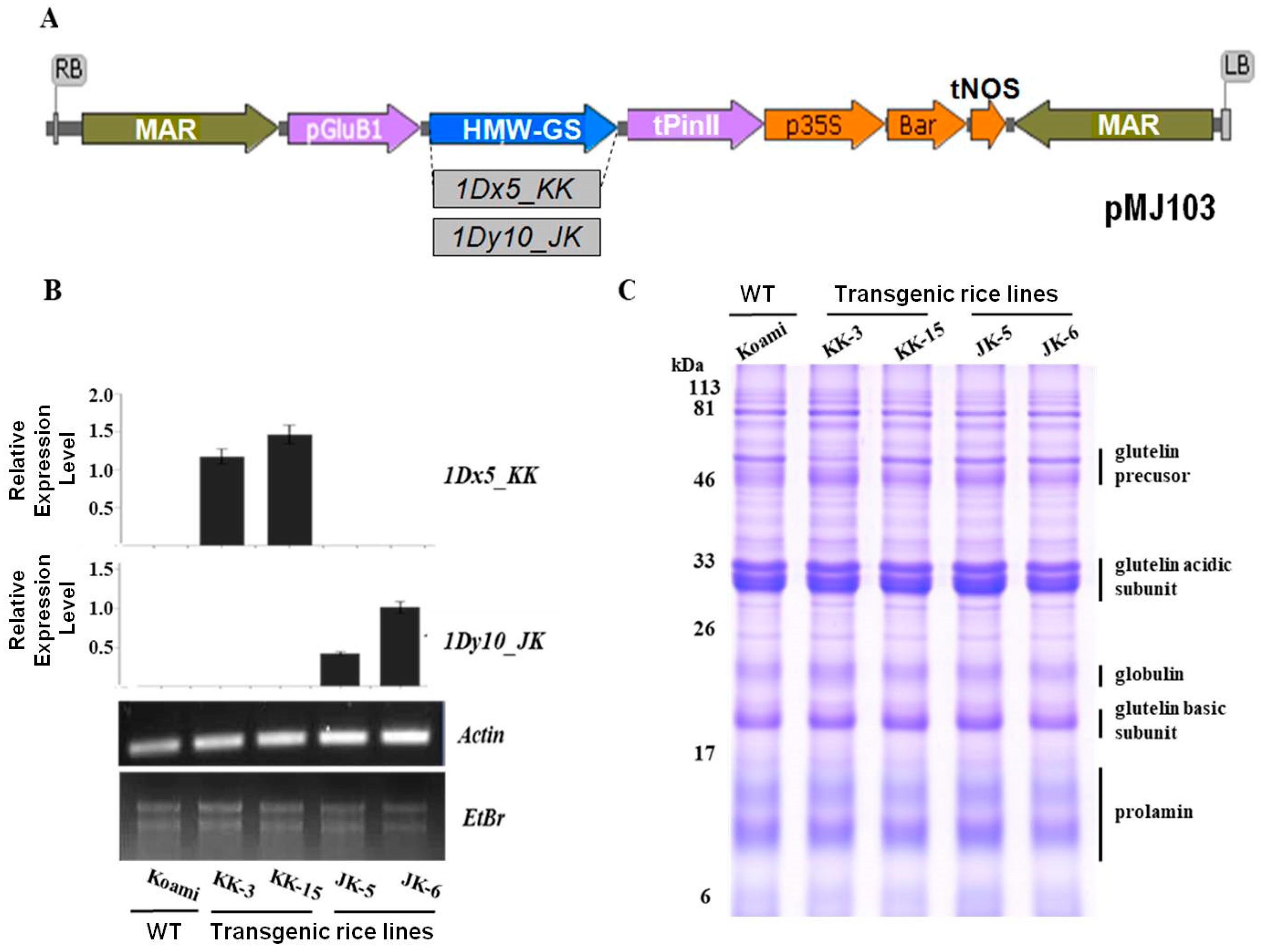 Ijms 18 02458 g002 Ijms 18 02458 g002