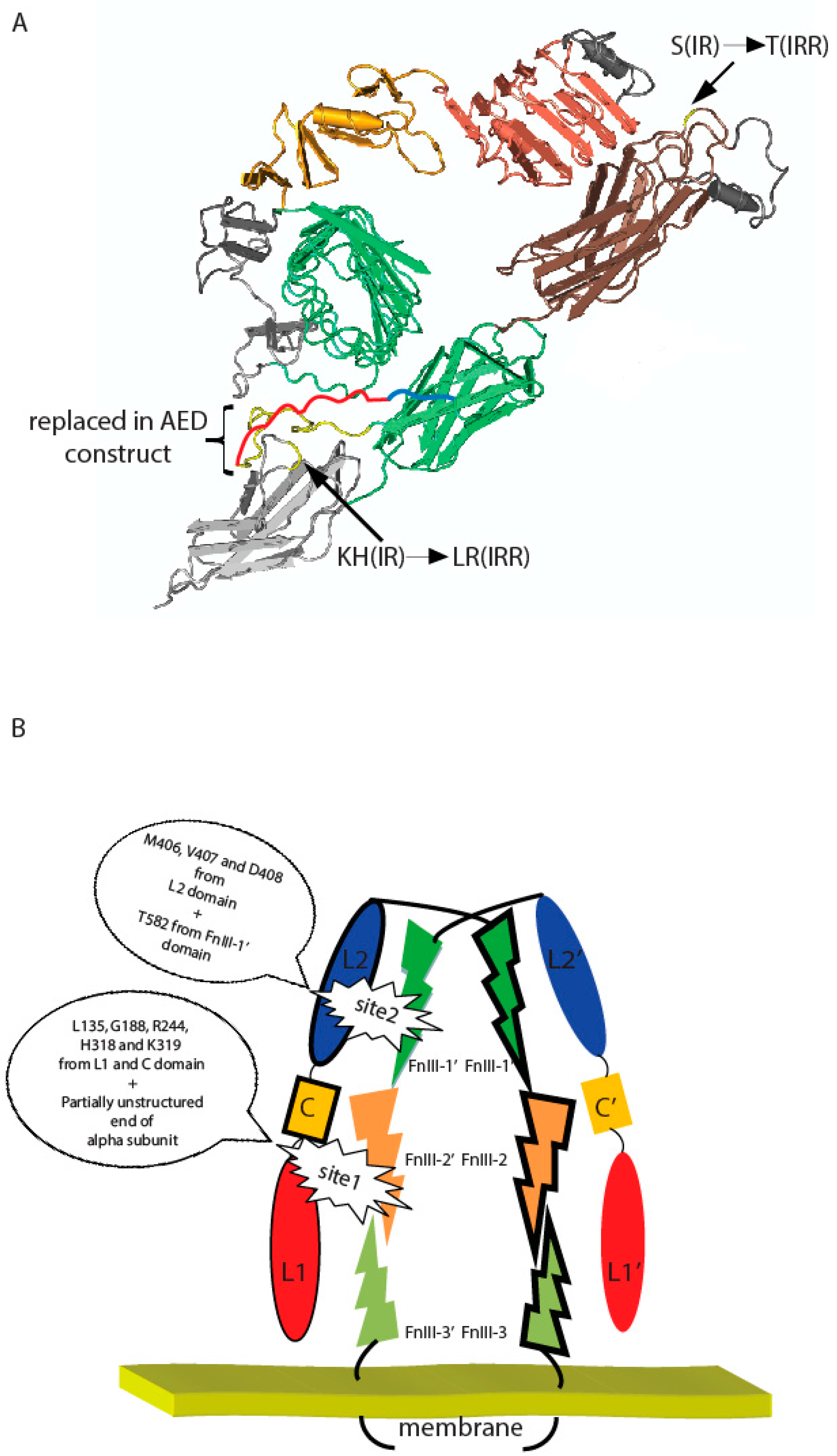 Ijms 18 02461 g005 550