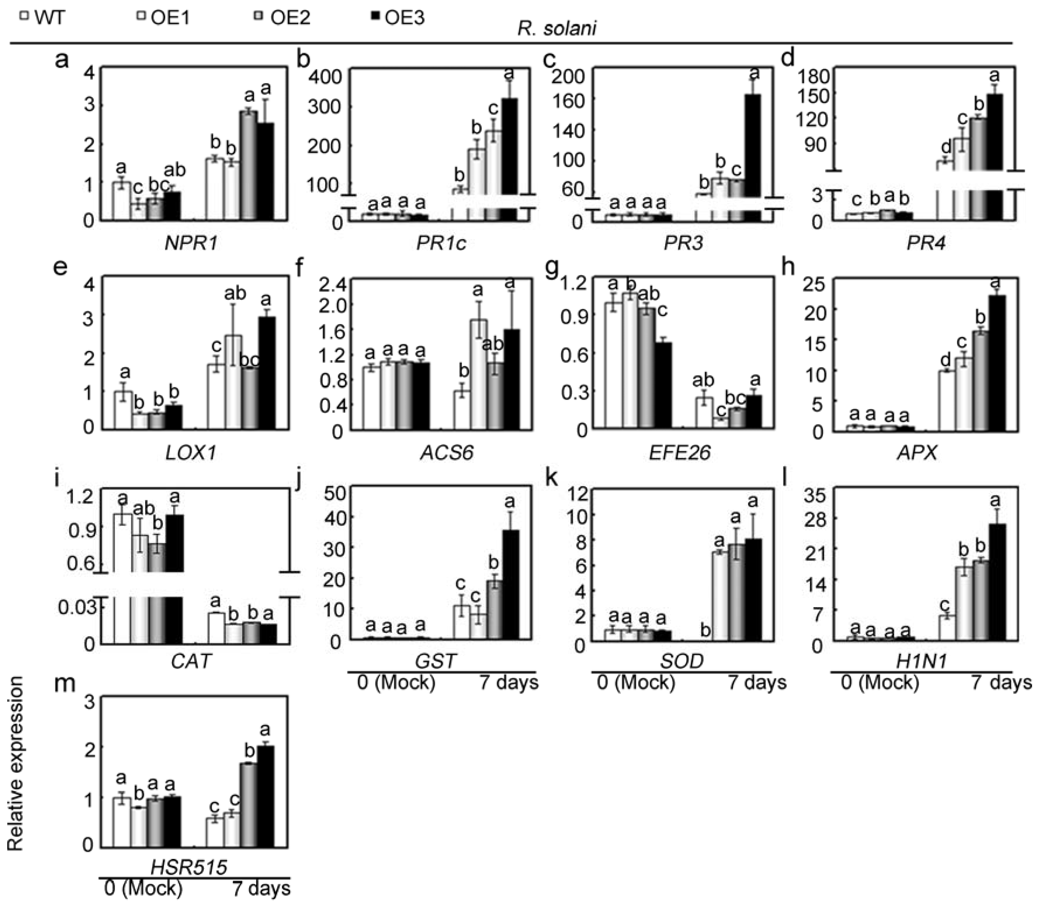 Ijms 18 02462 g007 550