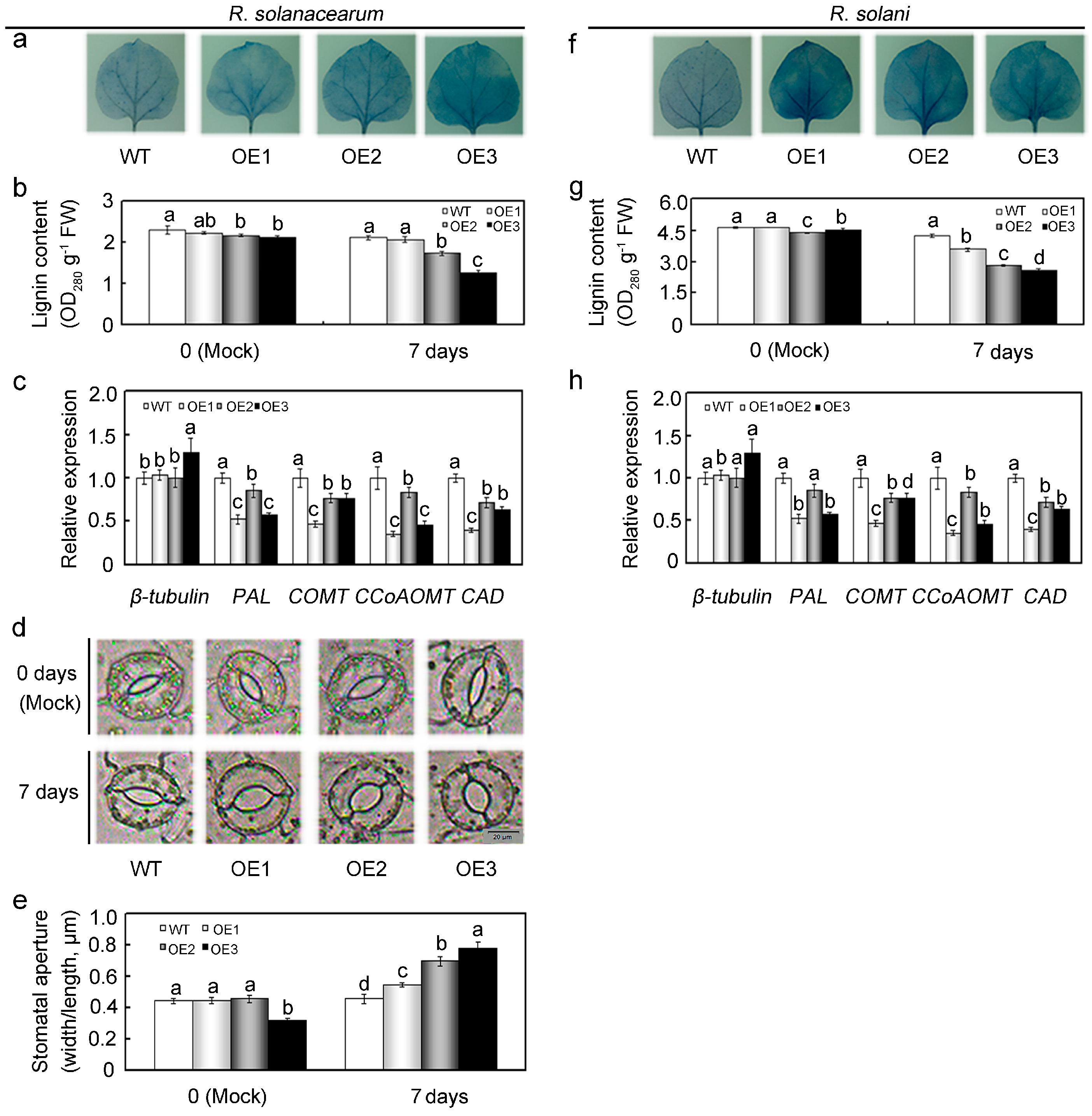 Ijms 18 02462 g009 550