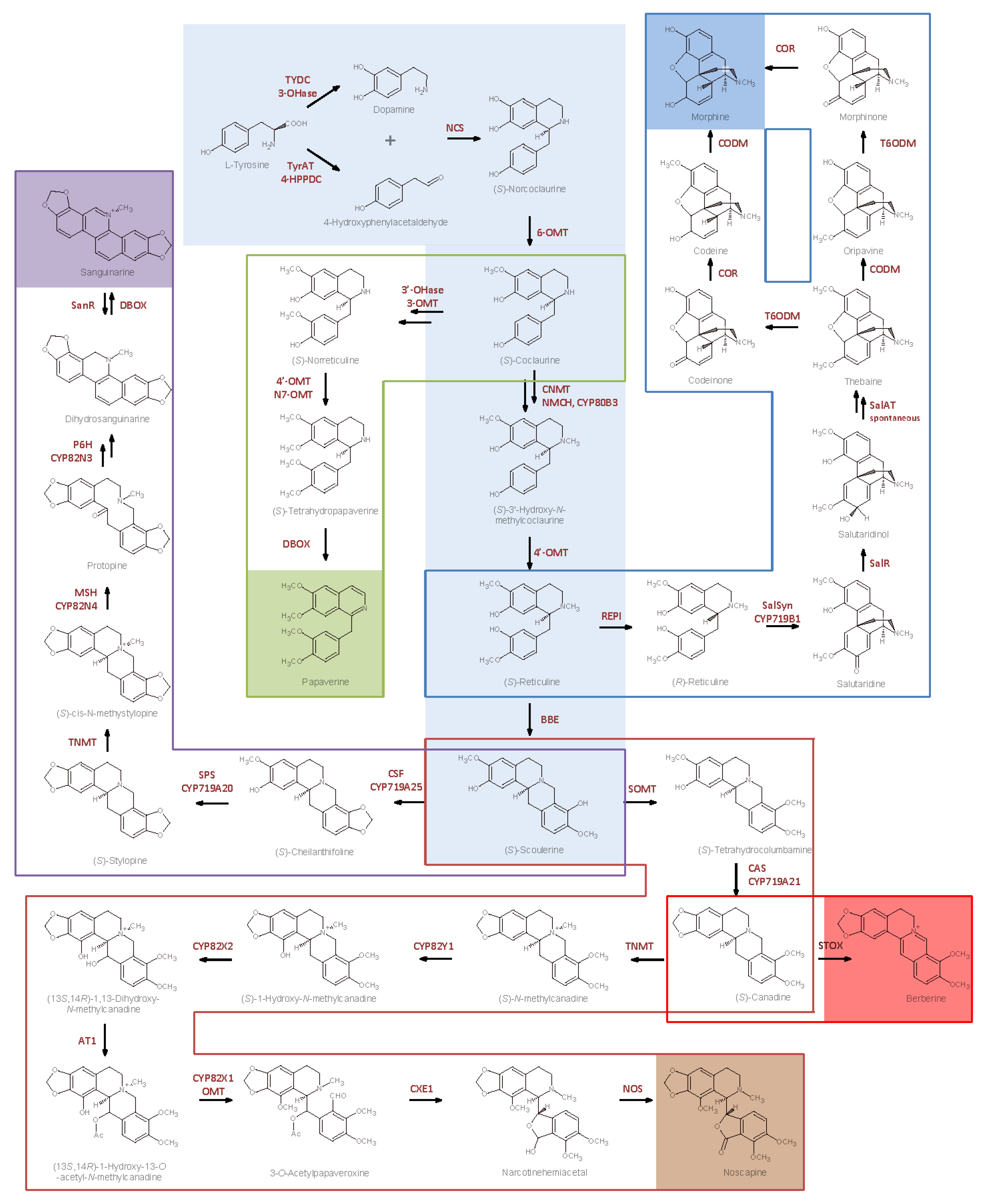 Ijms 18 02464 sch007 Ijms 18 02464 sch007