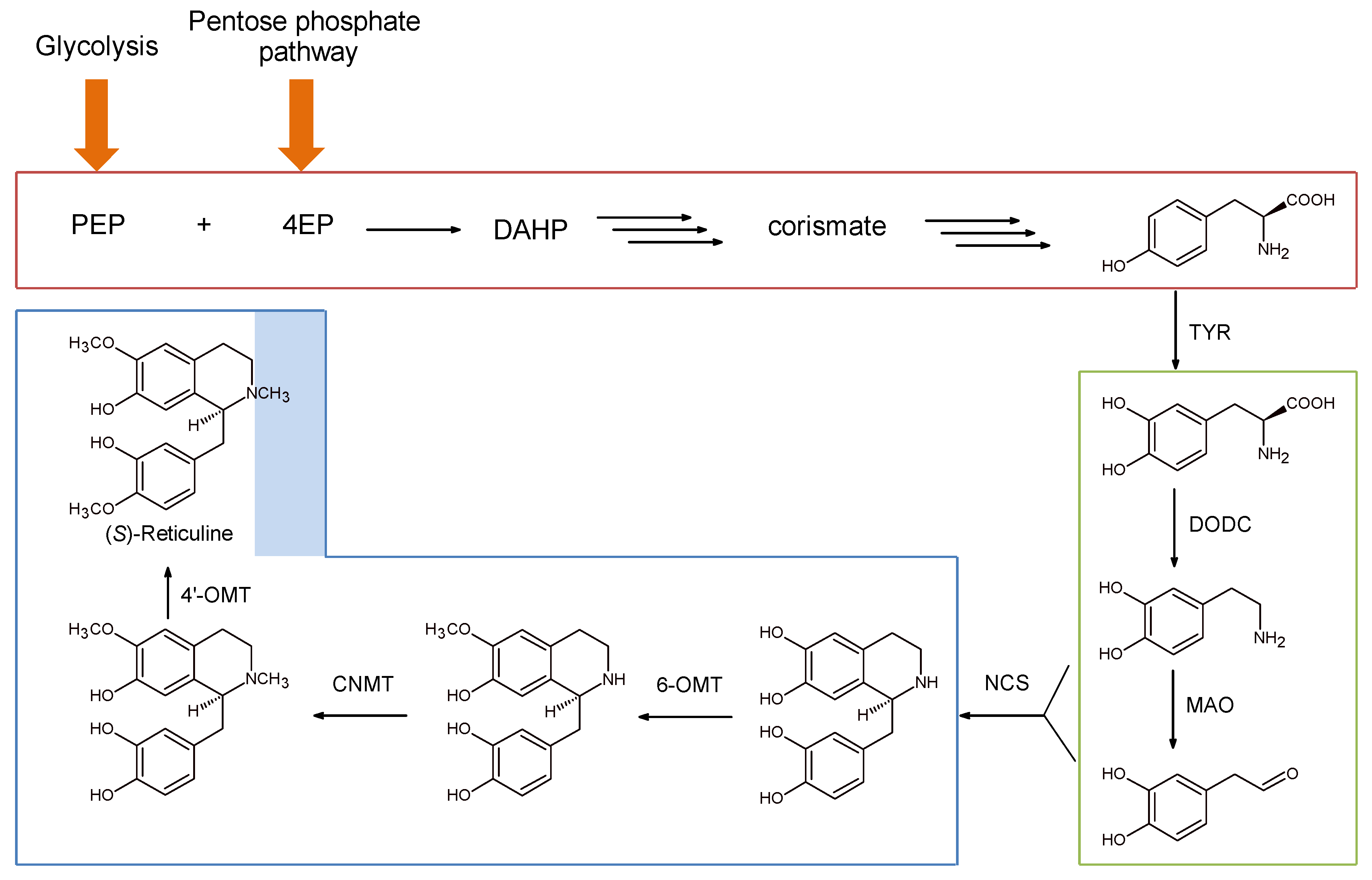 Ijms 18 02464 sch008 Ijms 18 02464 sch008