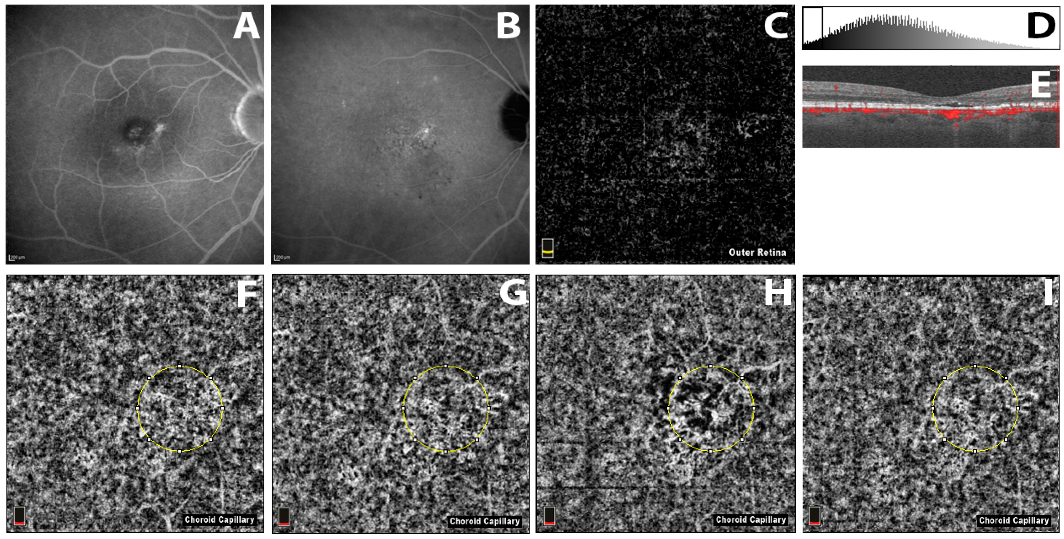 Ijms 18 02468 g001 Ijms 18 02468 g001