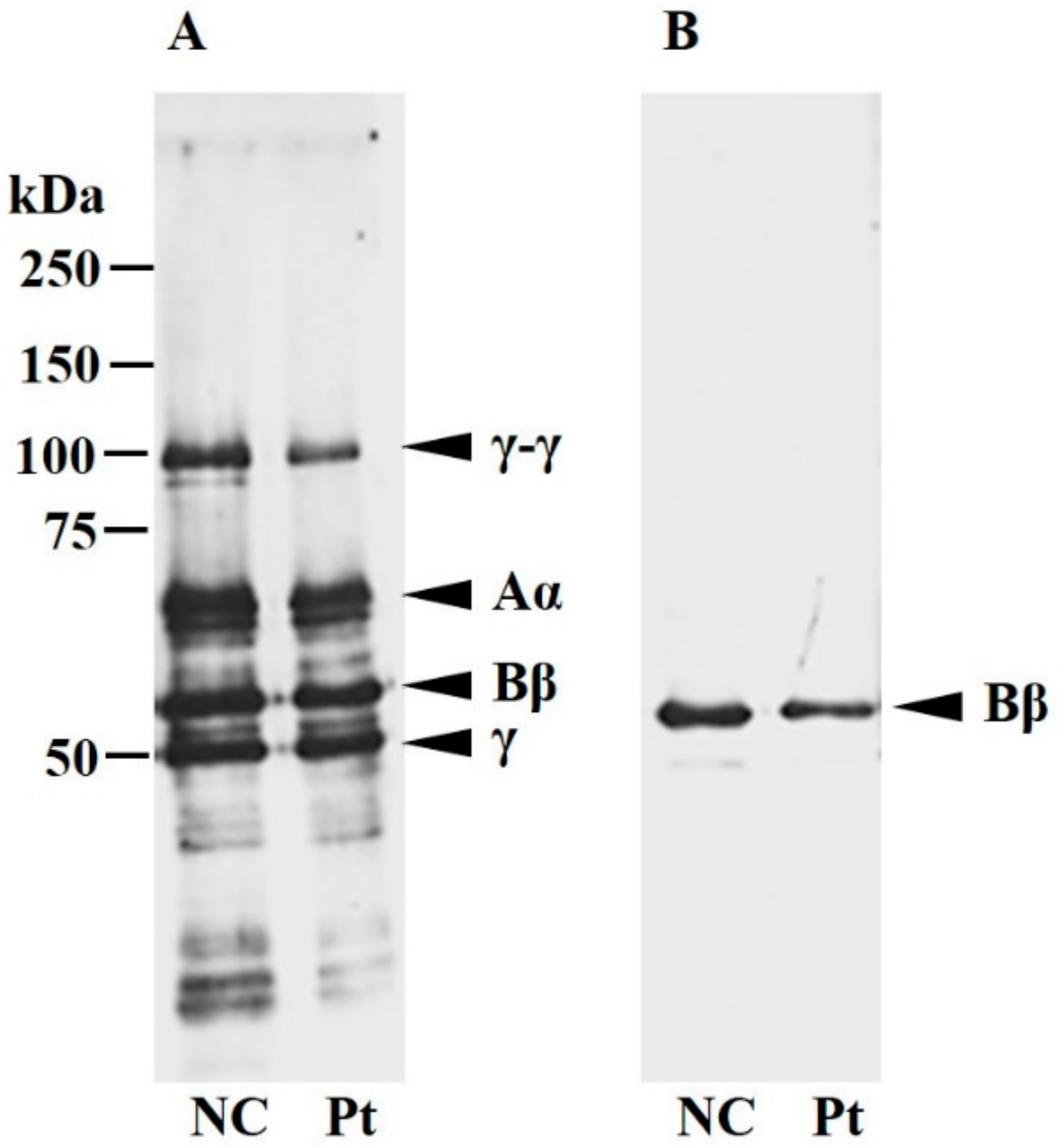 Ijms 18 02470 g001