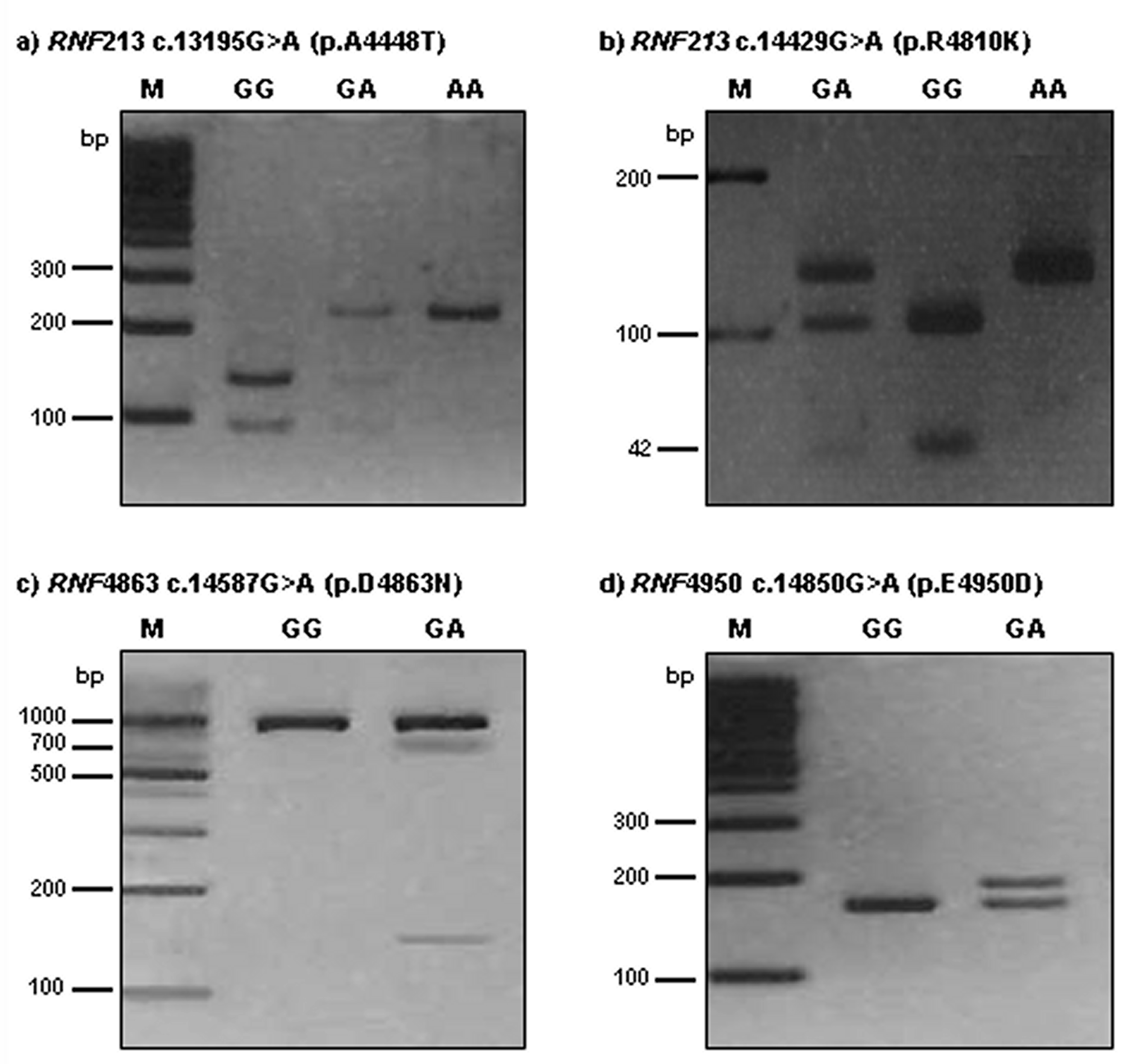 Ijms 18 02477 g001