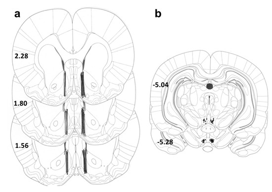 Alterations in Rat Accumbens Dopamine, Endocannabinoids and