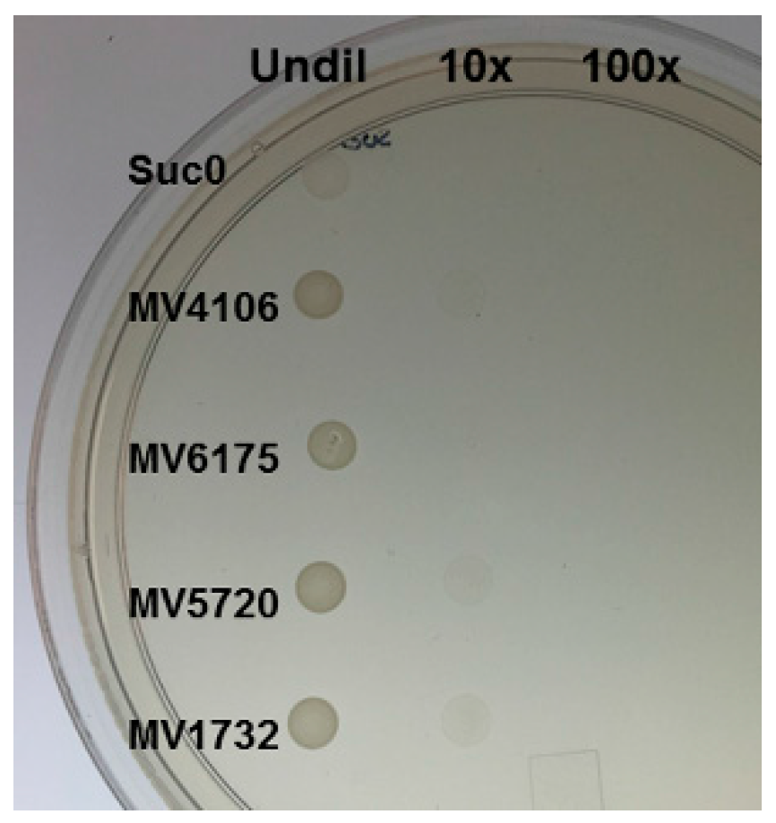 Ijms 18 02489 g002