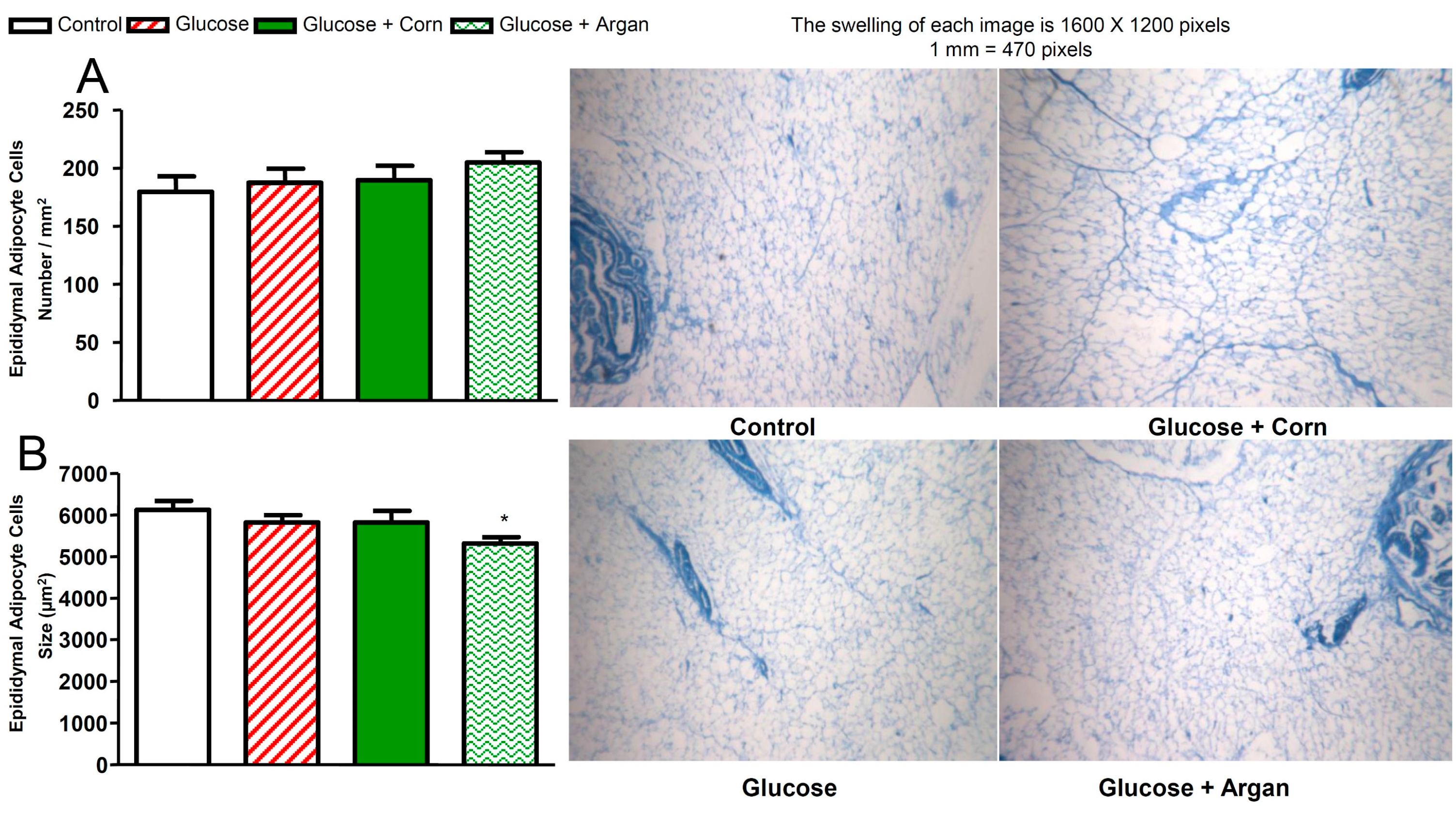 Ijms 18 02492 g004 Ijms 18 02492 g004