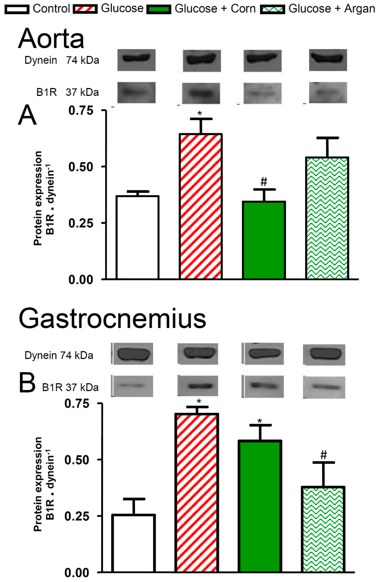 Ijms 18 02492 g007 Ijms 18 02492 g007