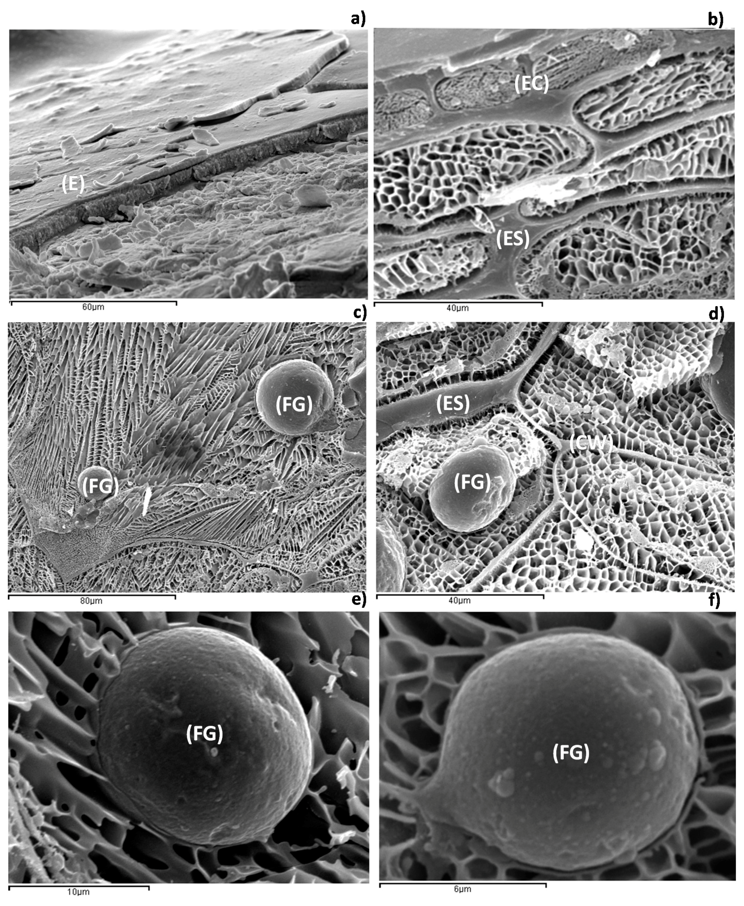 Ijms 18 02513 g001 550