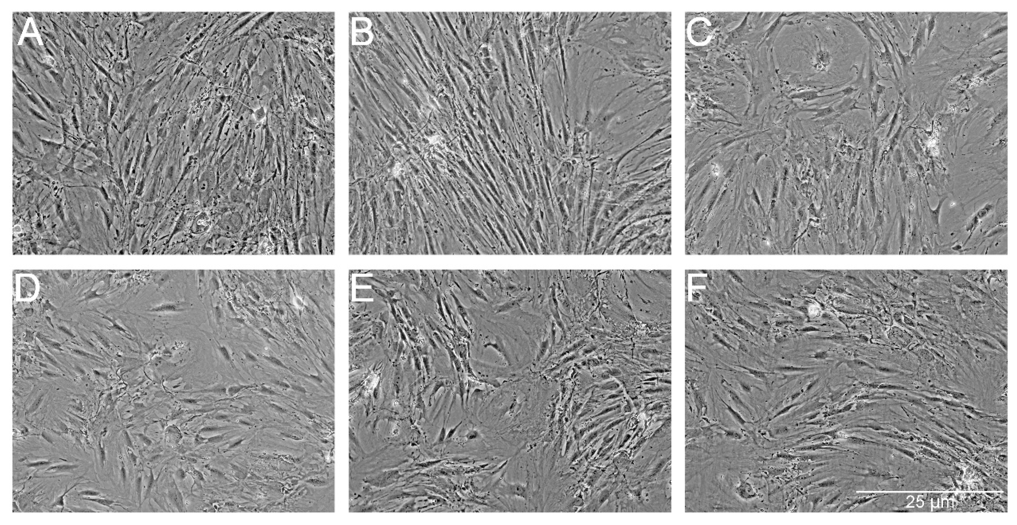 Ijms 18 02522 g005 550