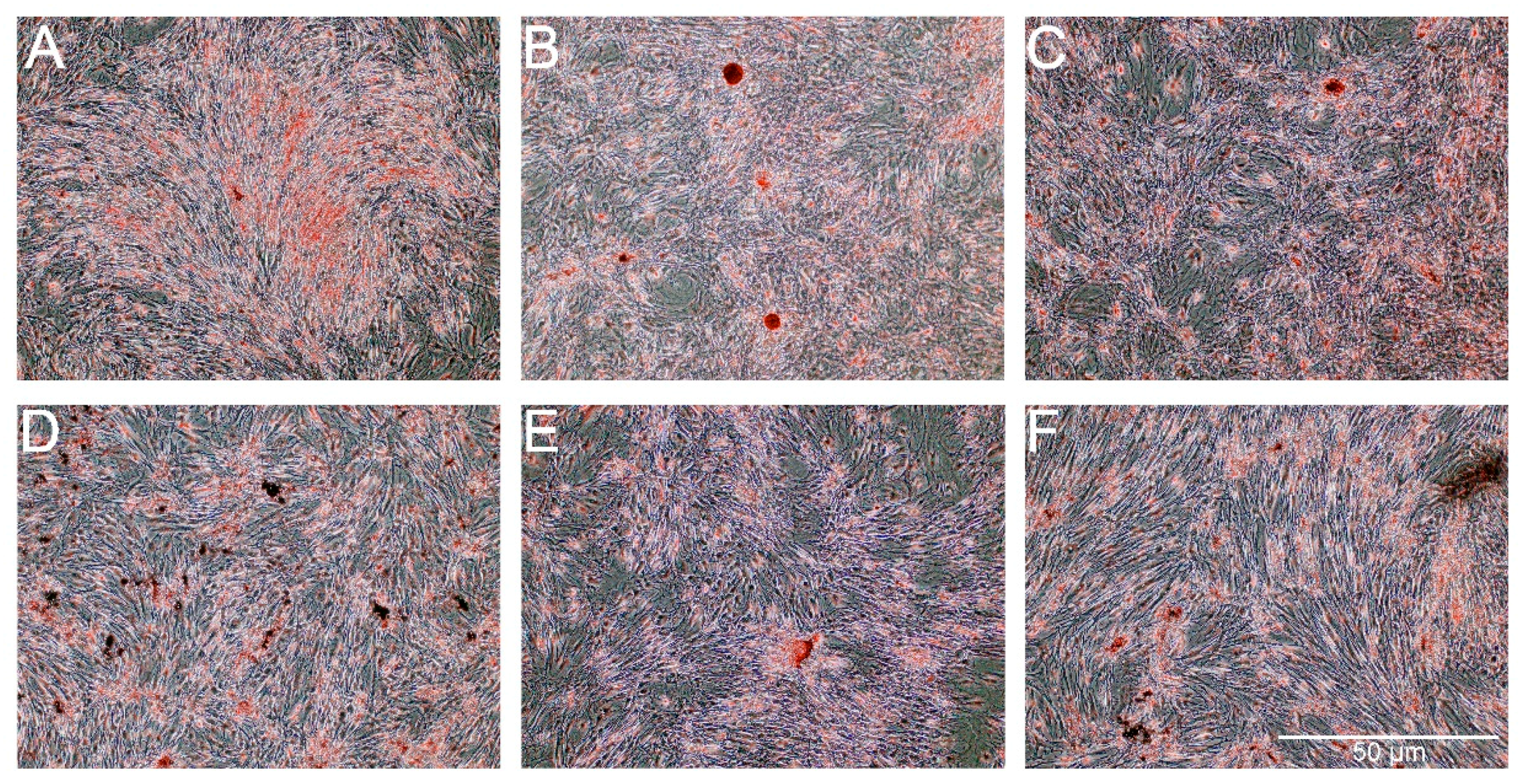 Ijms 18 02522 g011 550