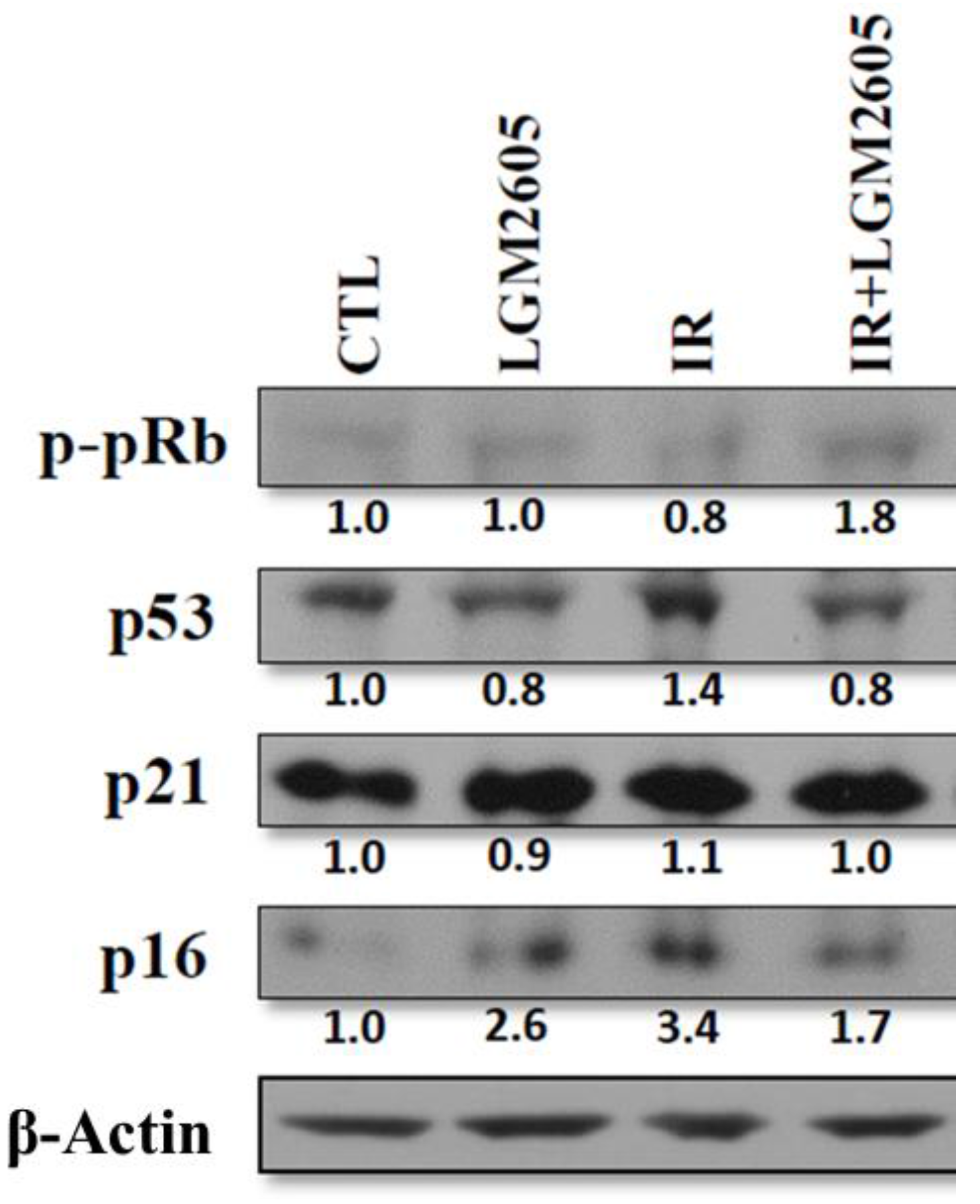 Ijms 18 02525 g005 550