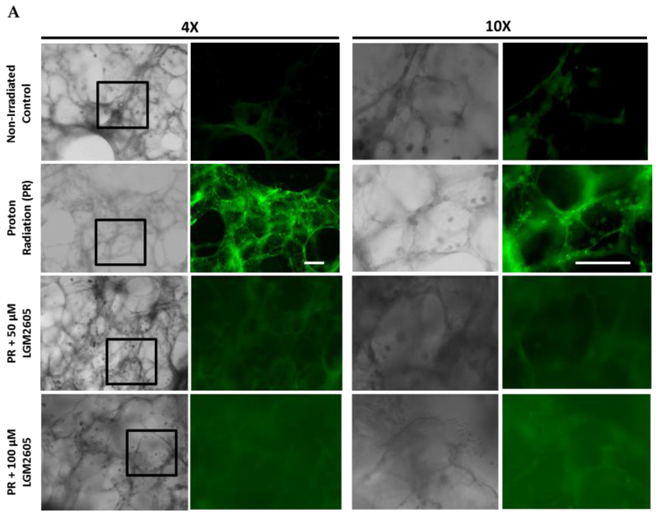 Ijms 18 02525 g006a 550