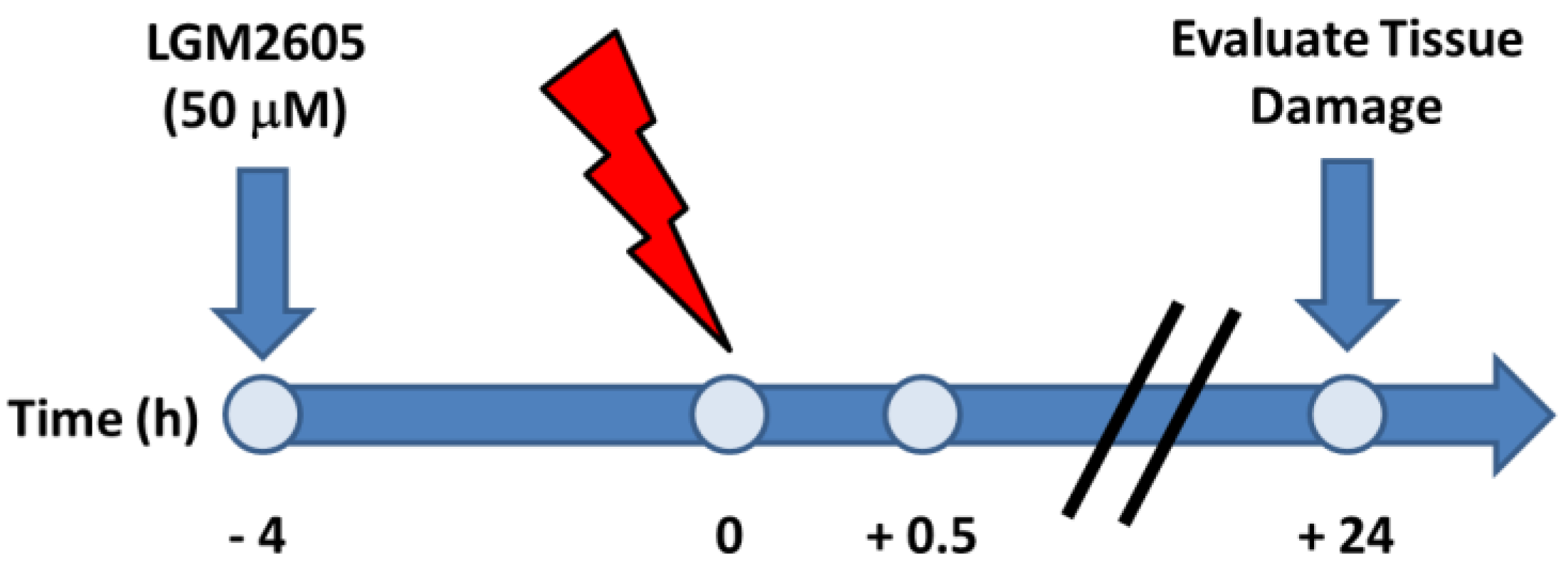 Ijms 18 02525 sch001 550