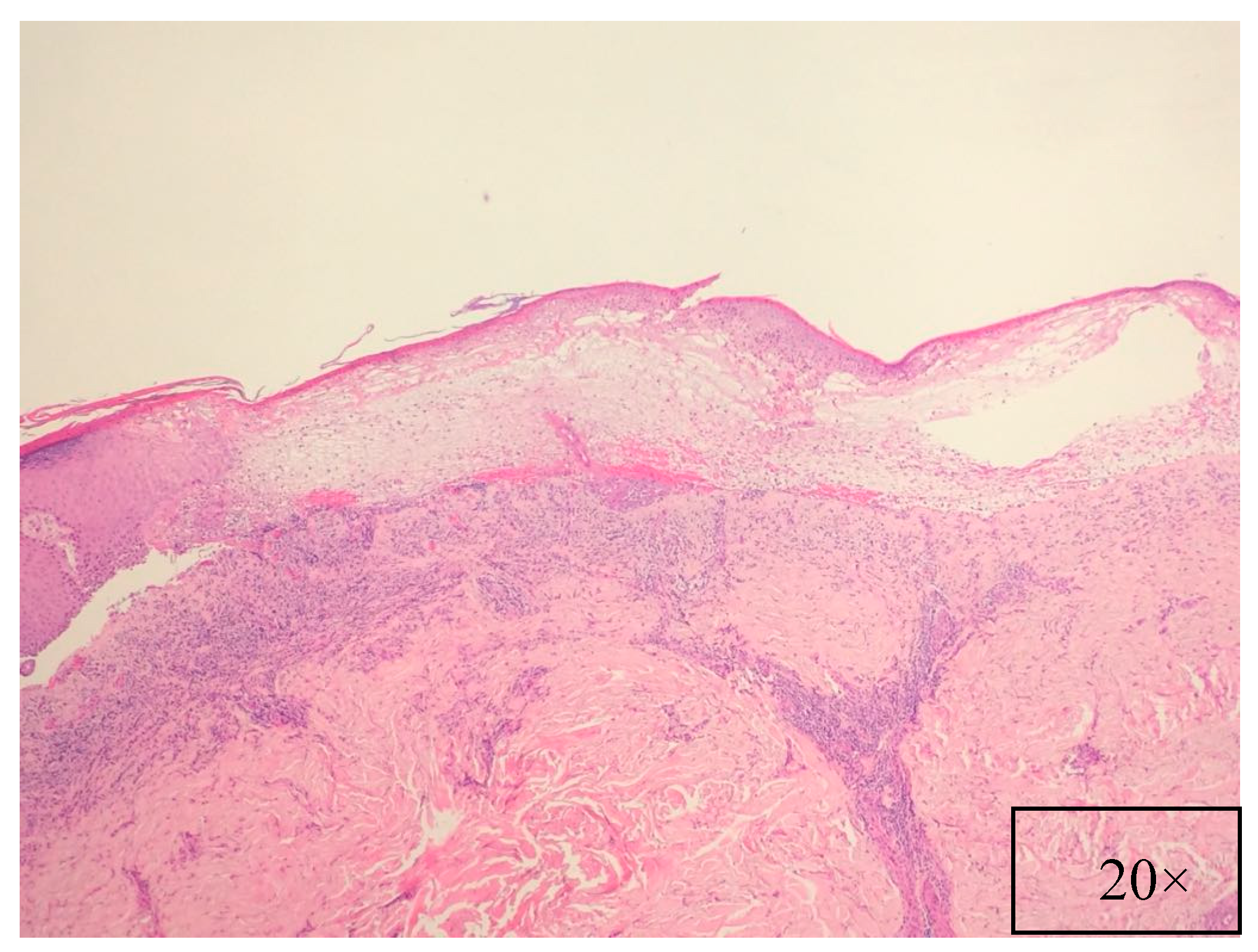 Ijms 18 02532 g005 550