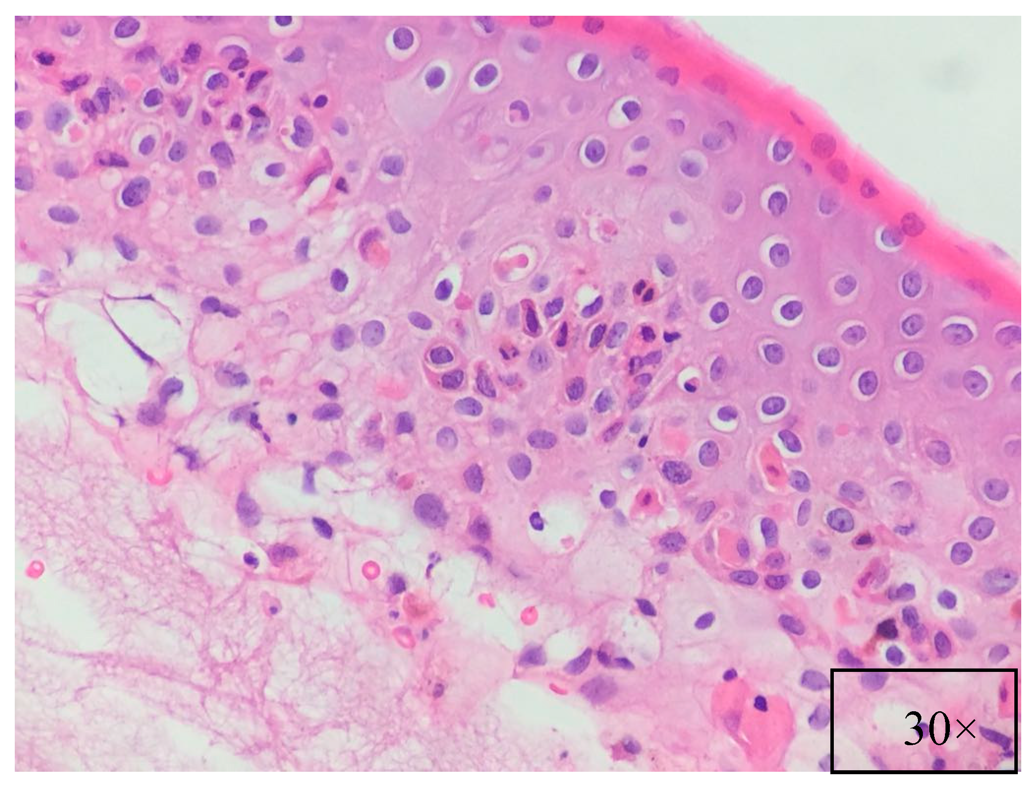 Ijms 18 02532 g006 550