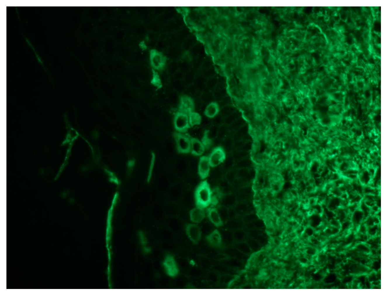 Ijms 18 02532 g007 550