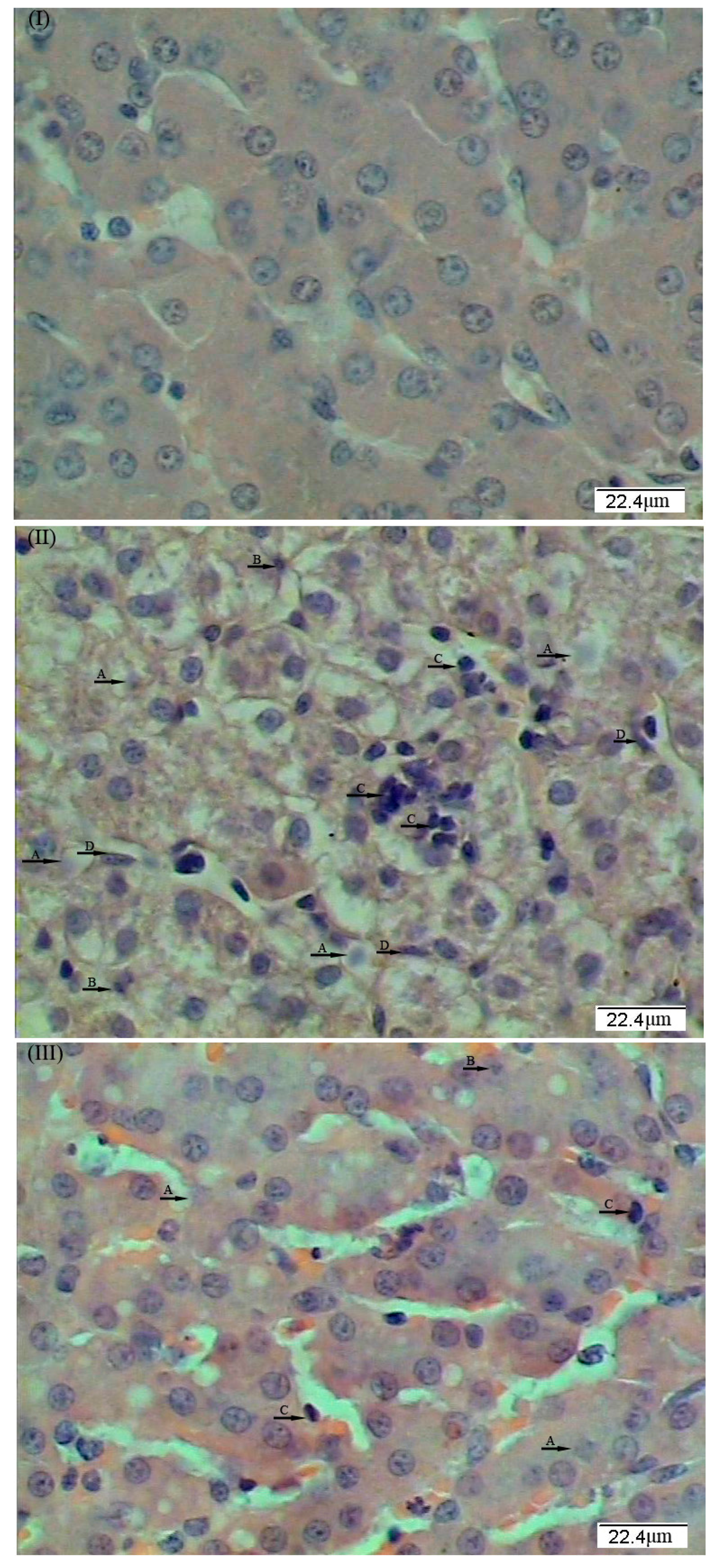 Ijms 18 02535 g001