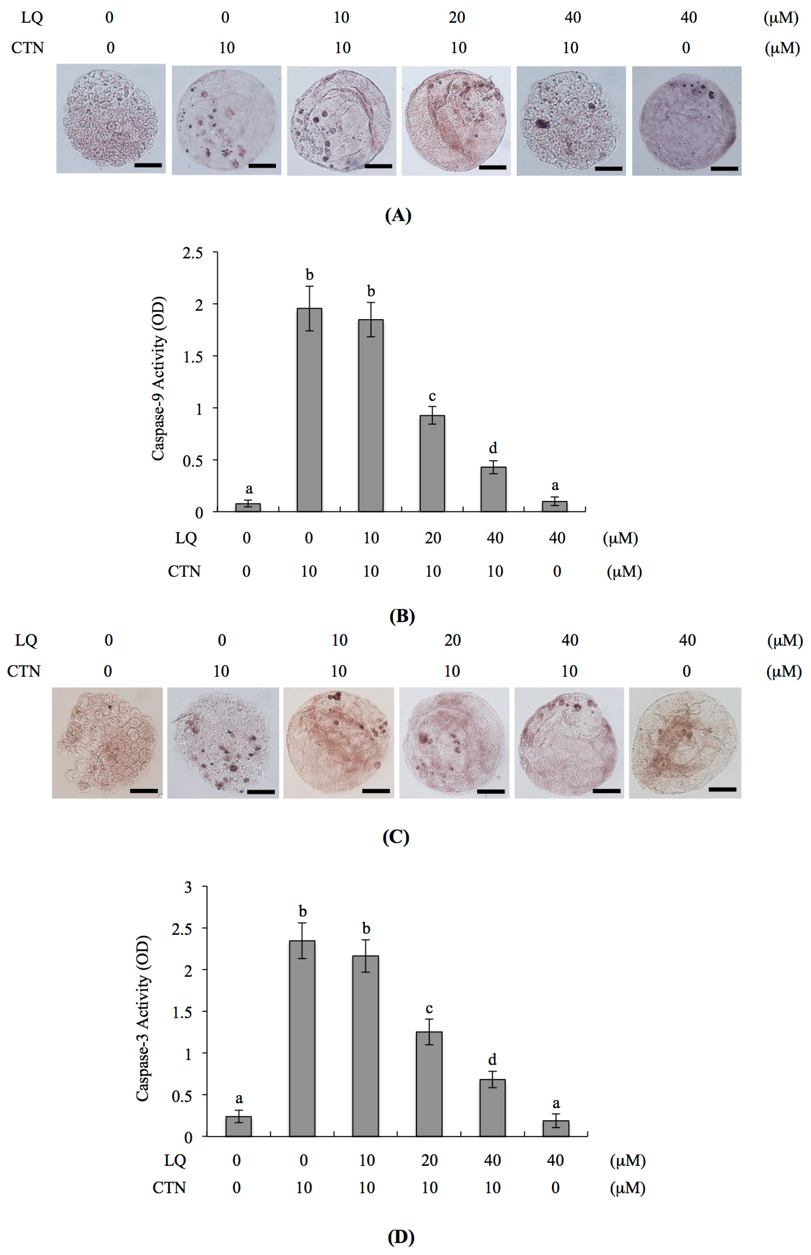 Ijms 18 02538 g005 550