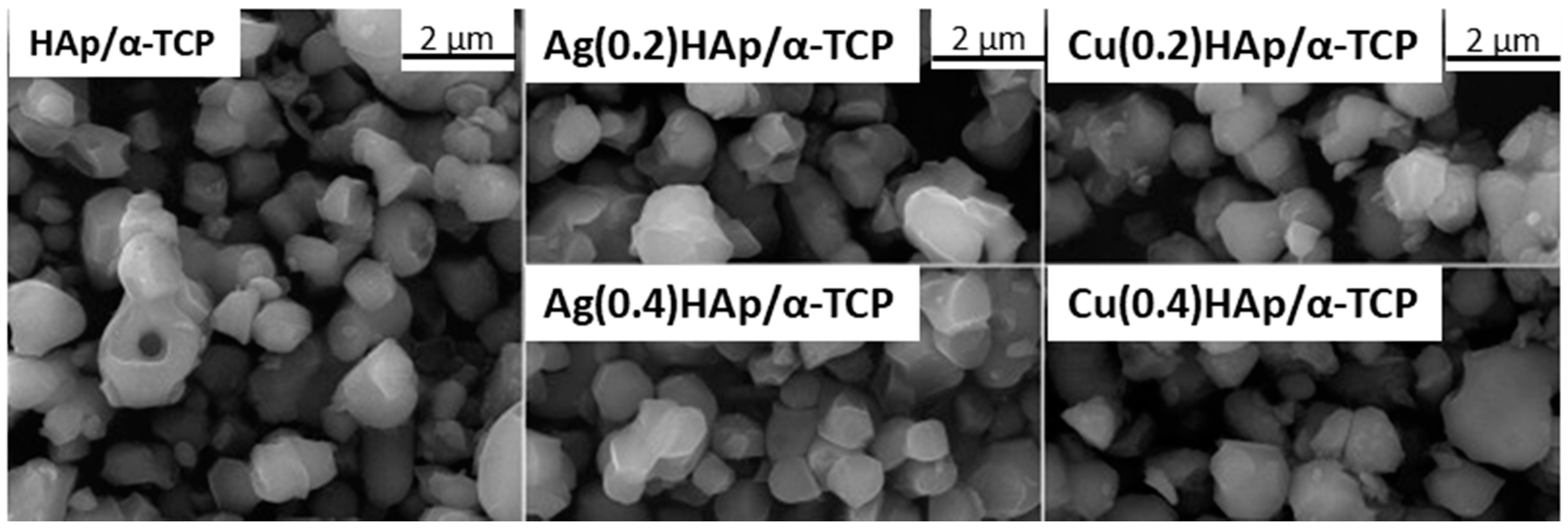 Ijms 18 02542 g006 Ijms 18 02542 g006