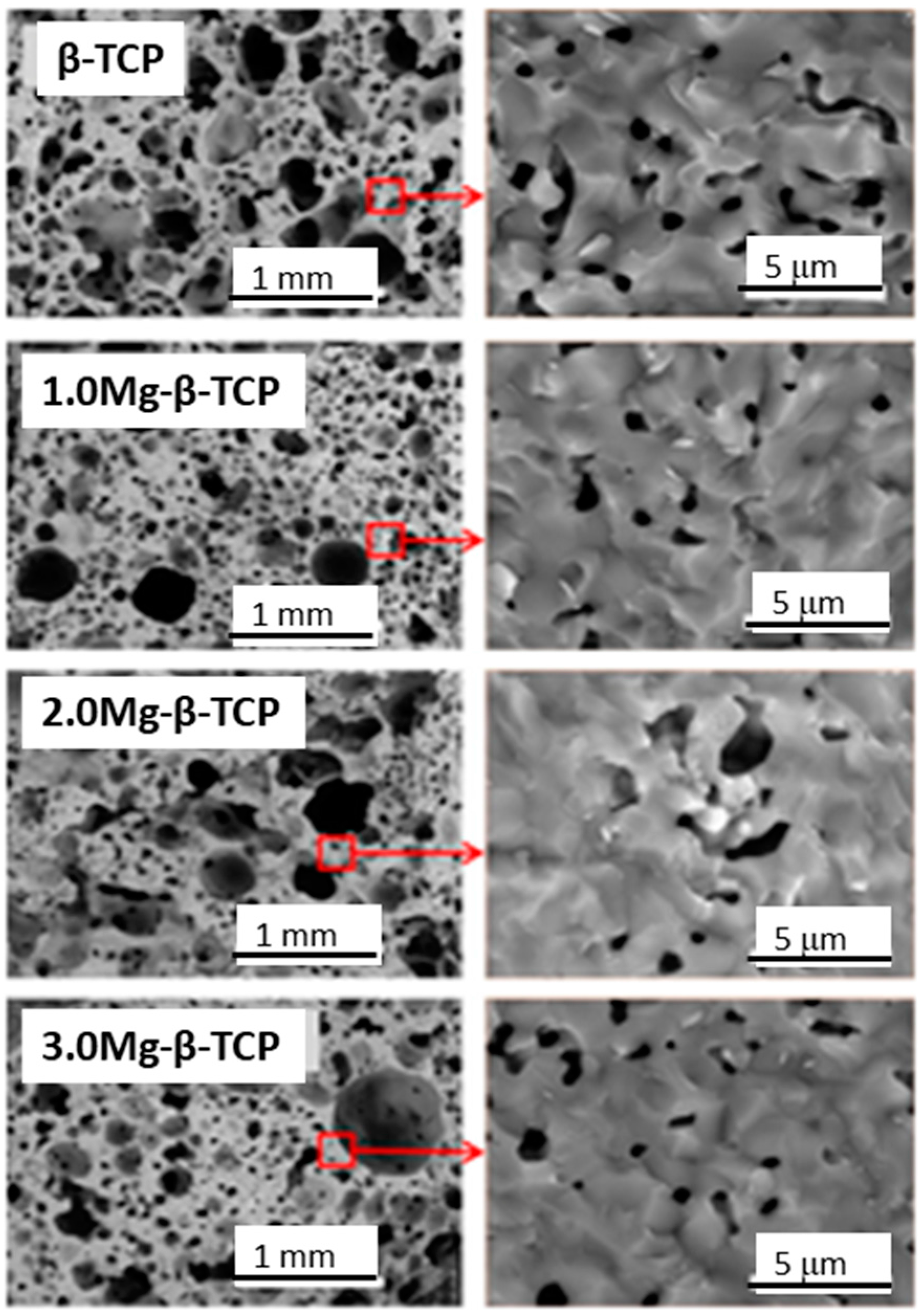 Ijms 18 02542 g007 Ijms 18 02542 g007