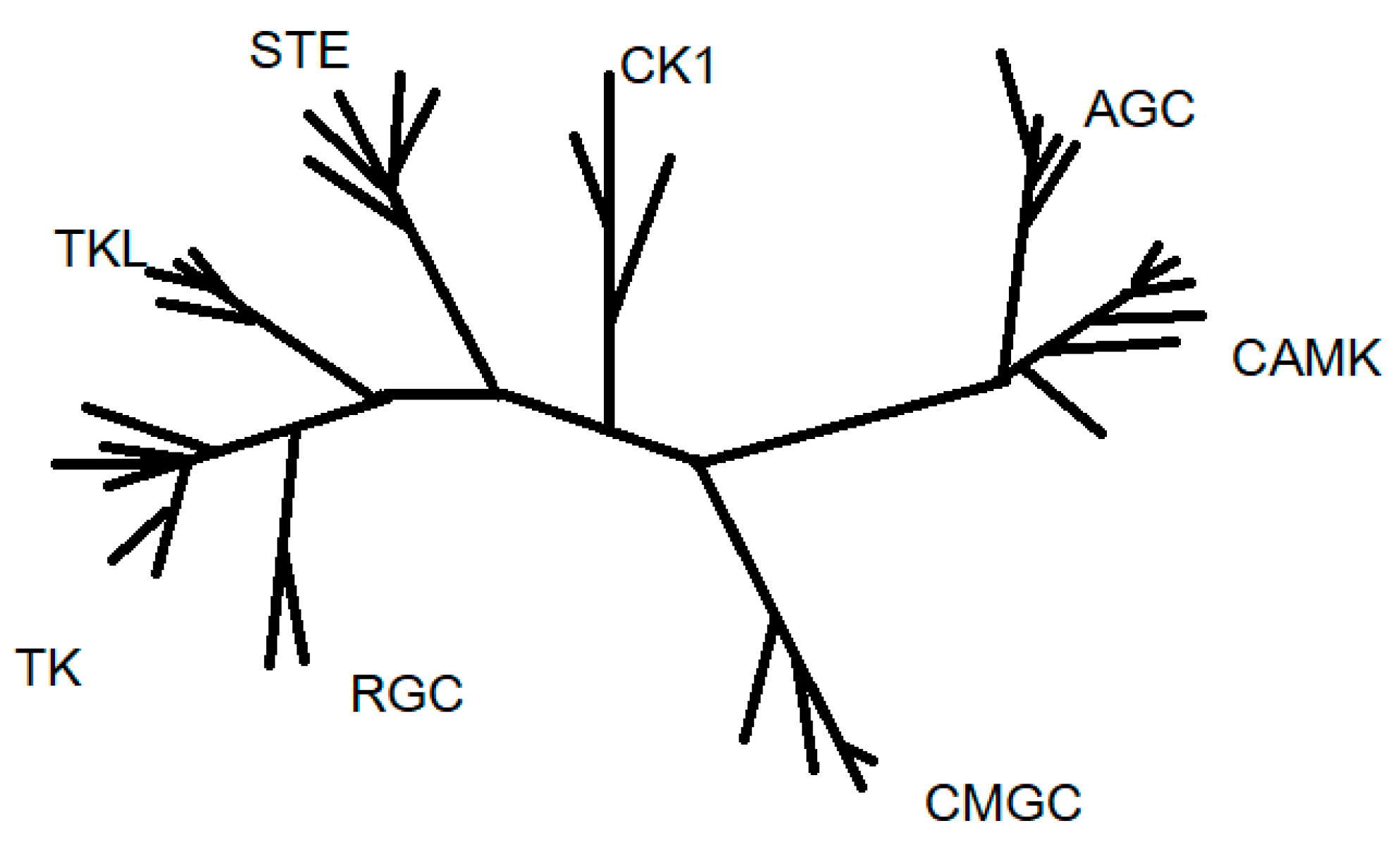 Ijms 18 02543 g001 Ijms 18 02543 g001