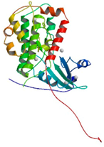 Ijms 18 02543 i002 Ijms 18 02543 i002