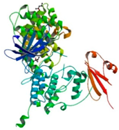 Ijms 18 02543 i004 Ijms 18 02543 i004