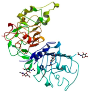 Ijms 18 02543 i006 Ijms 18 02543 i006