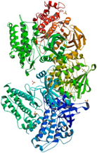 Ijms 18 02543 i007 Ijms 18 02543 i007