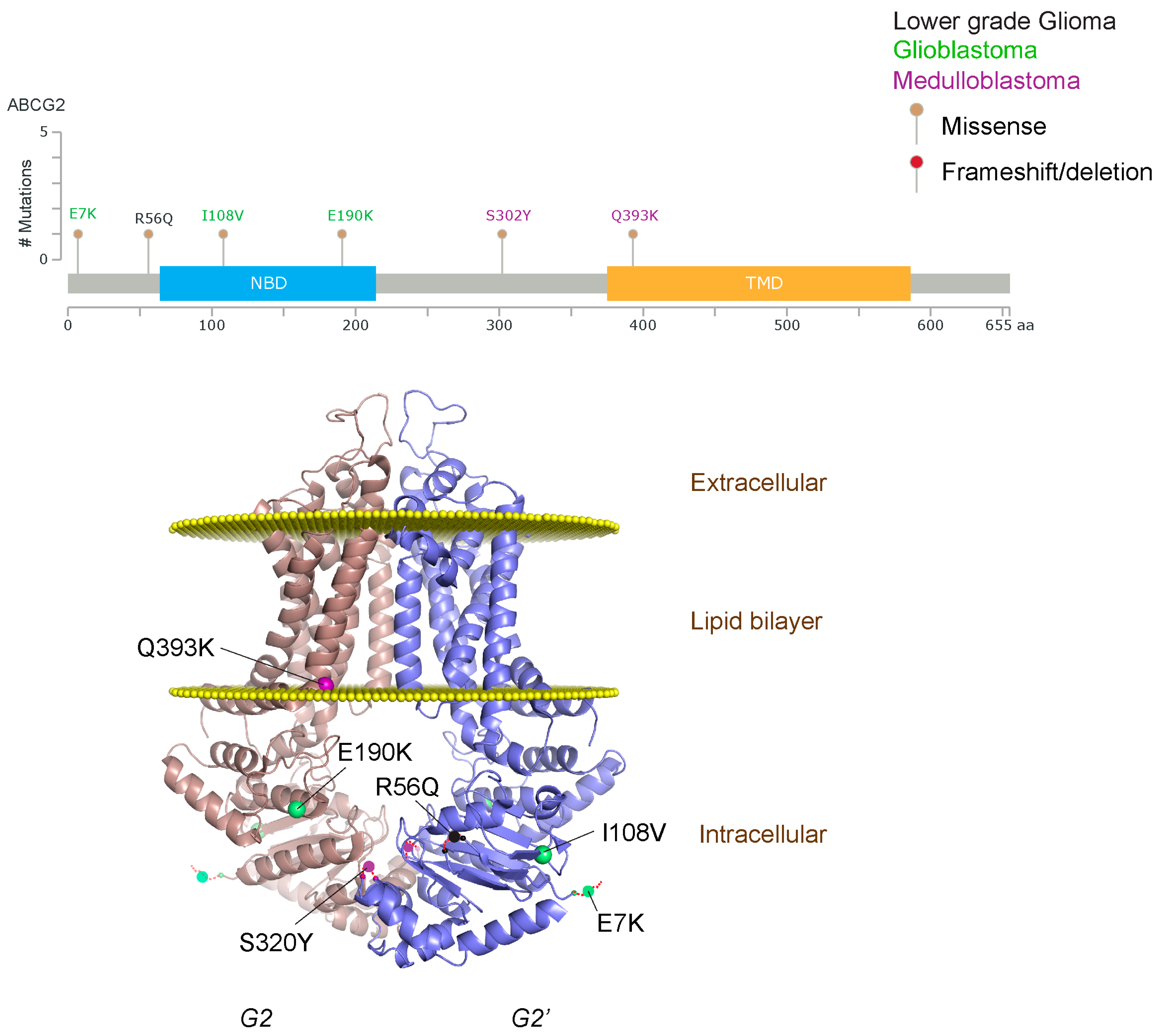 Ijms 18 02544 g003 Ijms 18 02544 g003