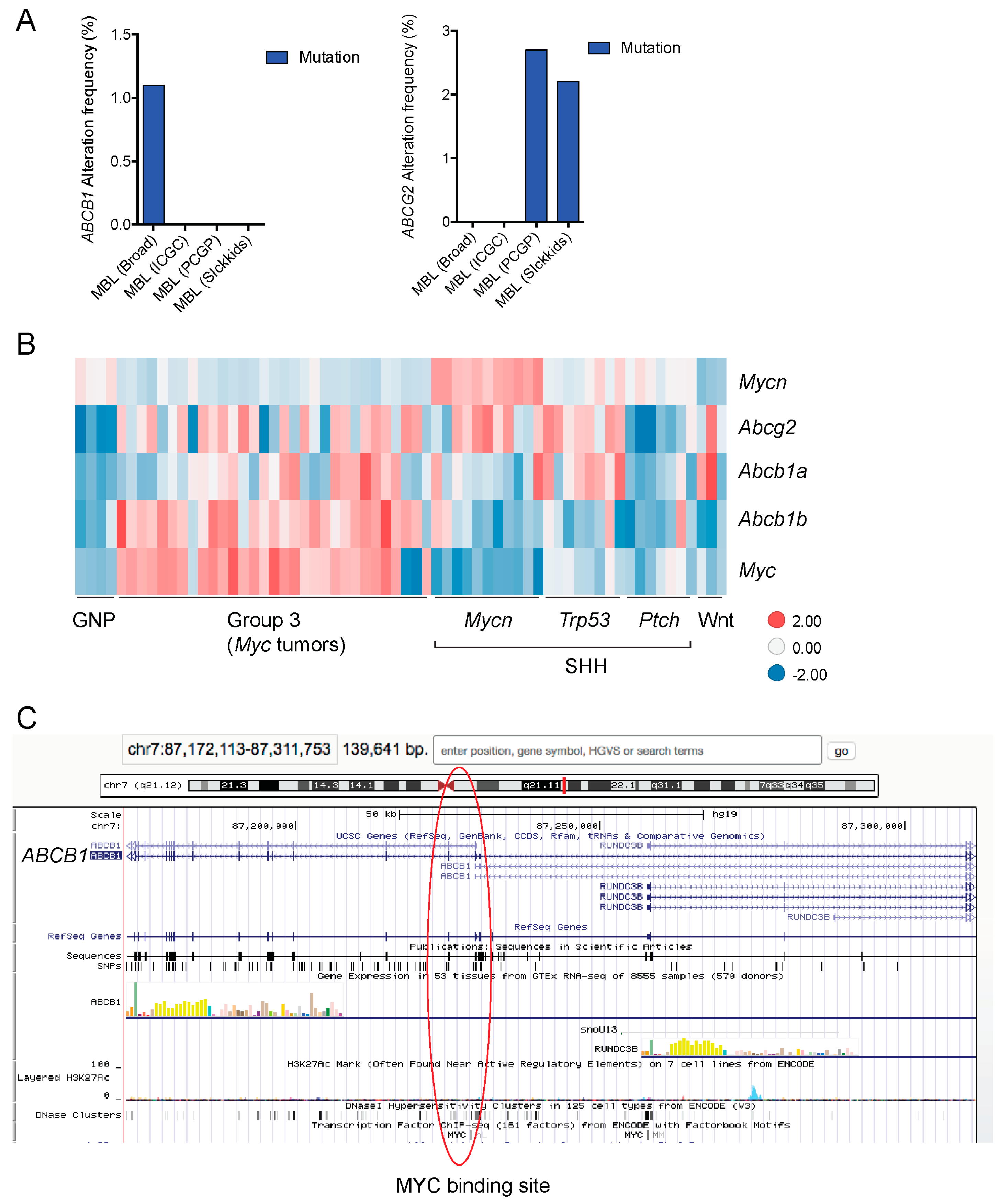 Ijms 18 02544 g005 Ijms 18 02544 g005