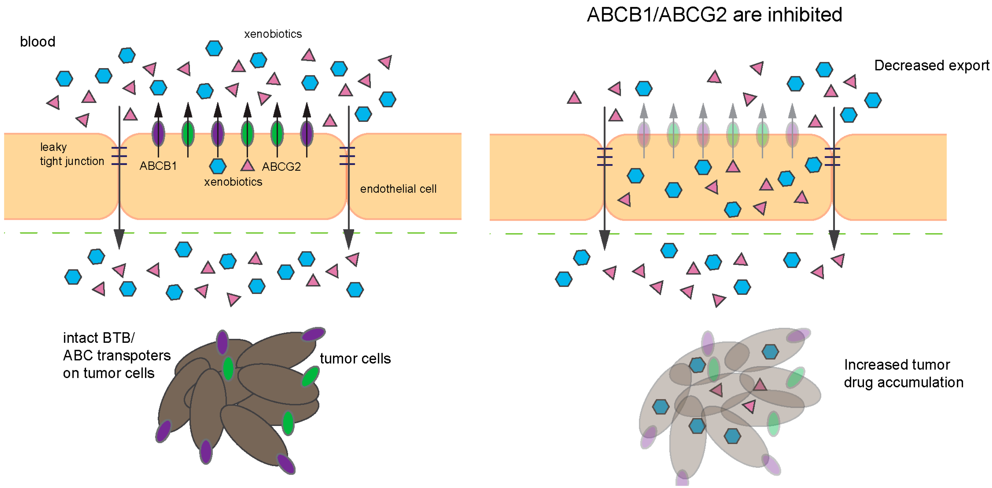 Ijms 18 02544 g006 Ijms 18 02544 g006