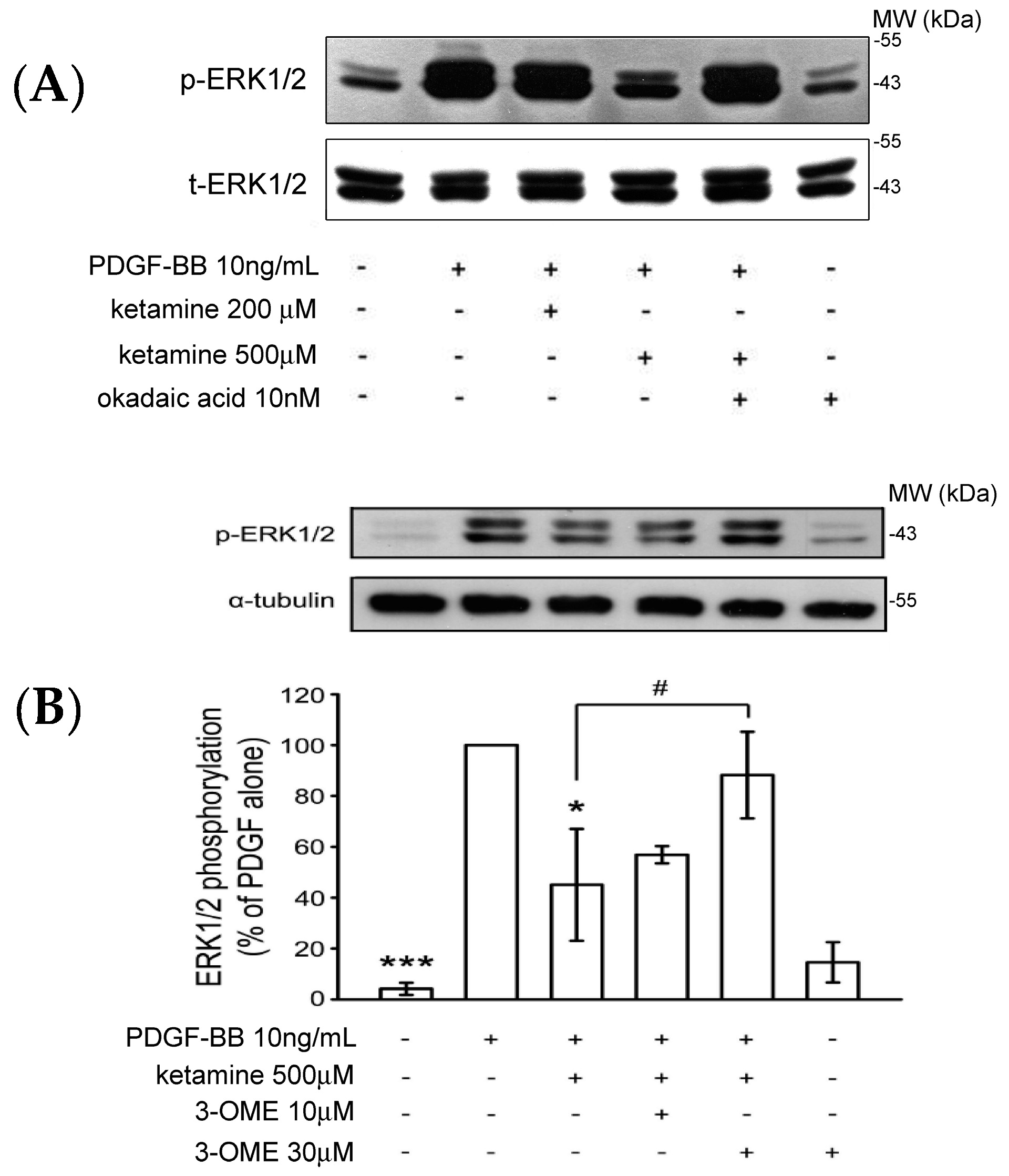 Ijms 18 02545 g003a