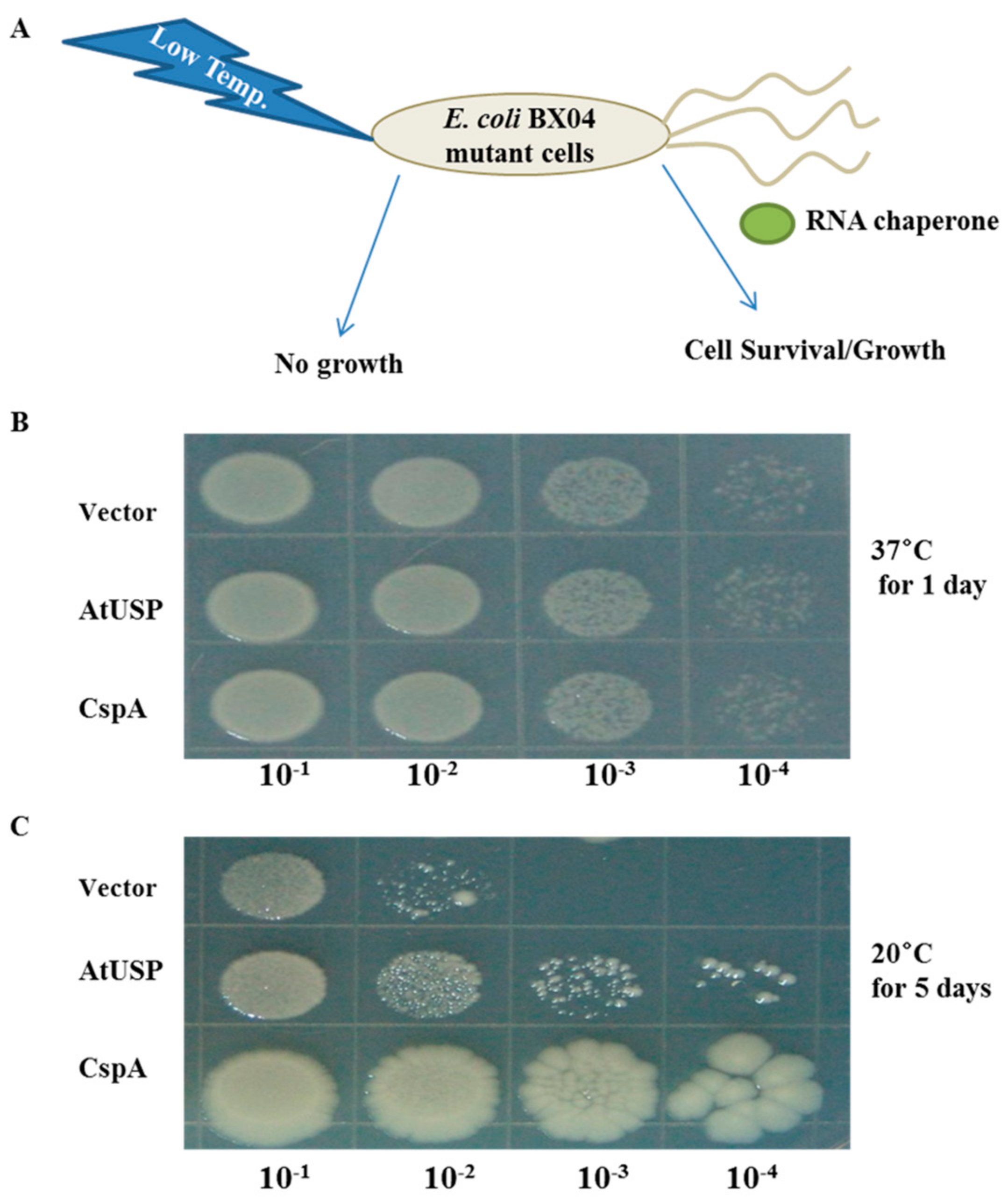 Ijms 18 02546 g007 550
