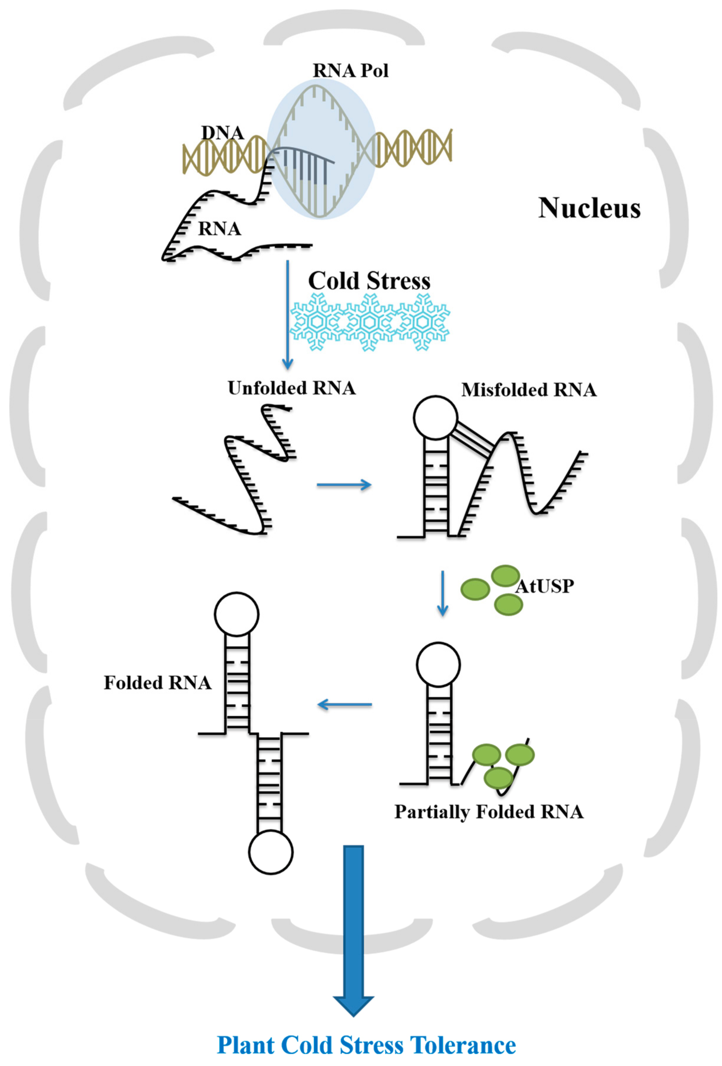 Ijms 18 02546 g008 550