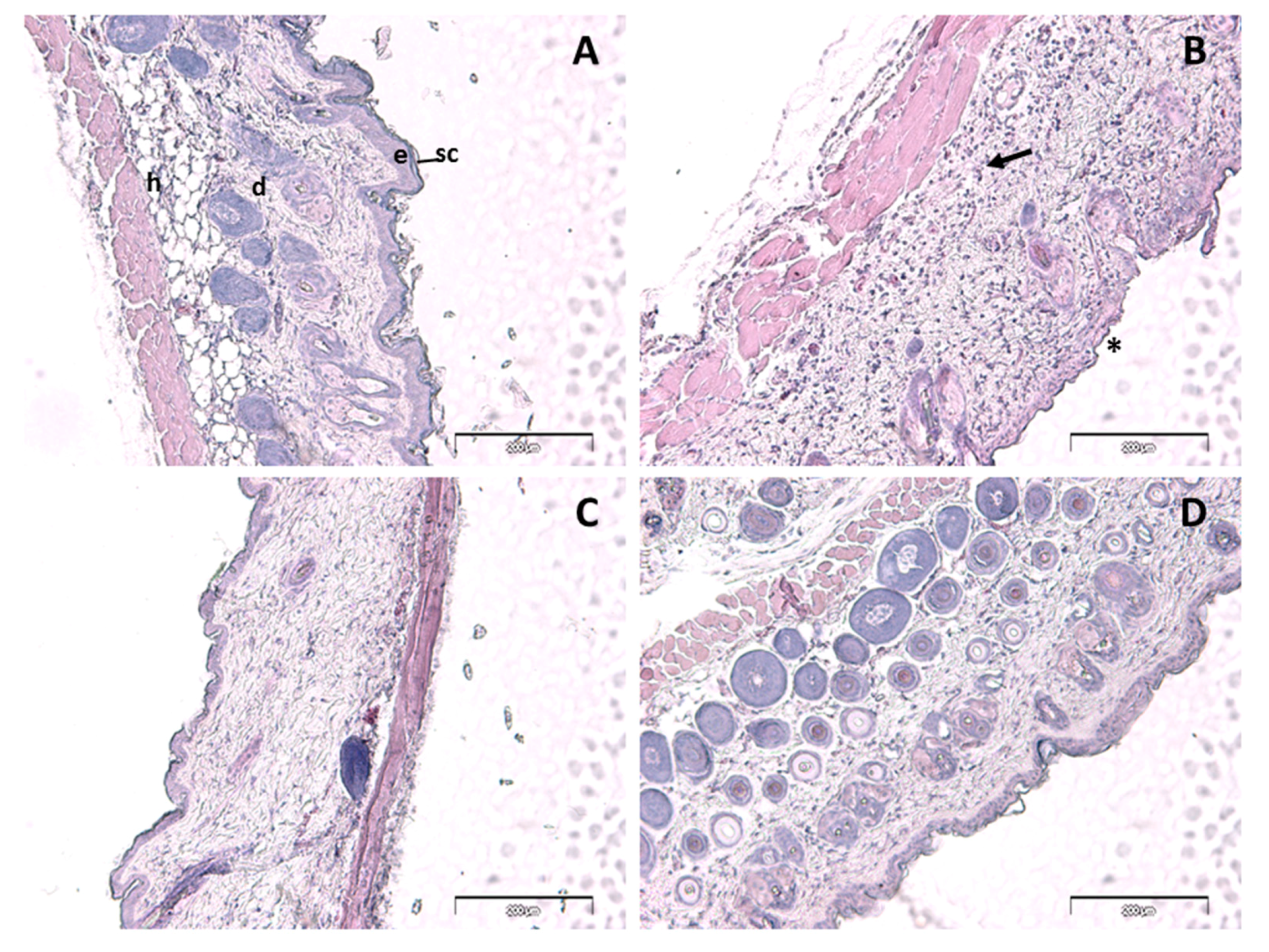 Ijms 18 02548 g005 Ijms 18 02548 g005