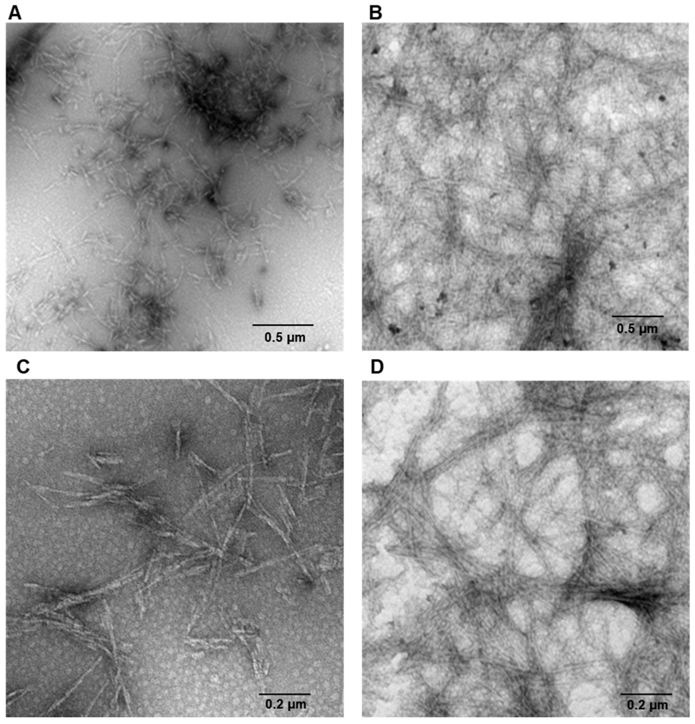 Ijms 18 02551 g002 550