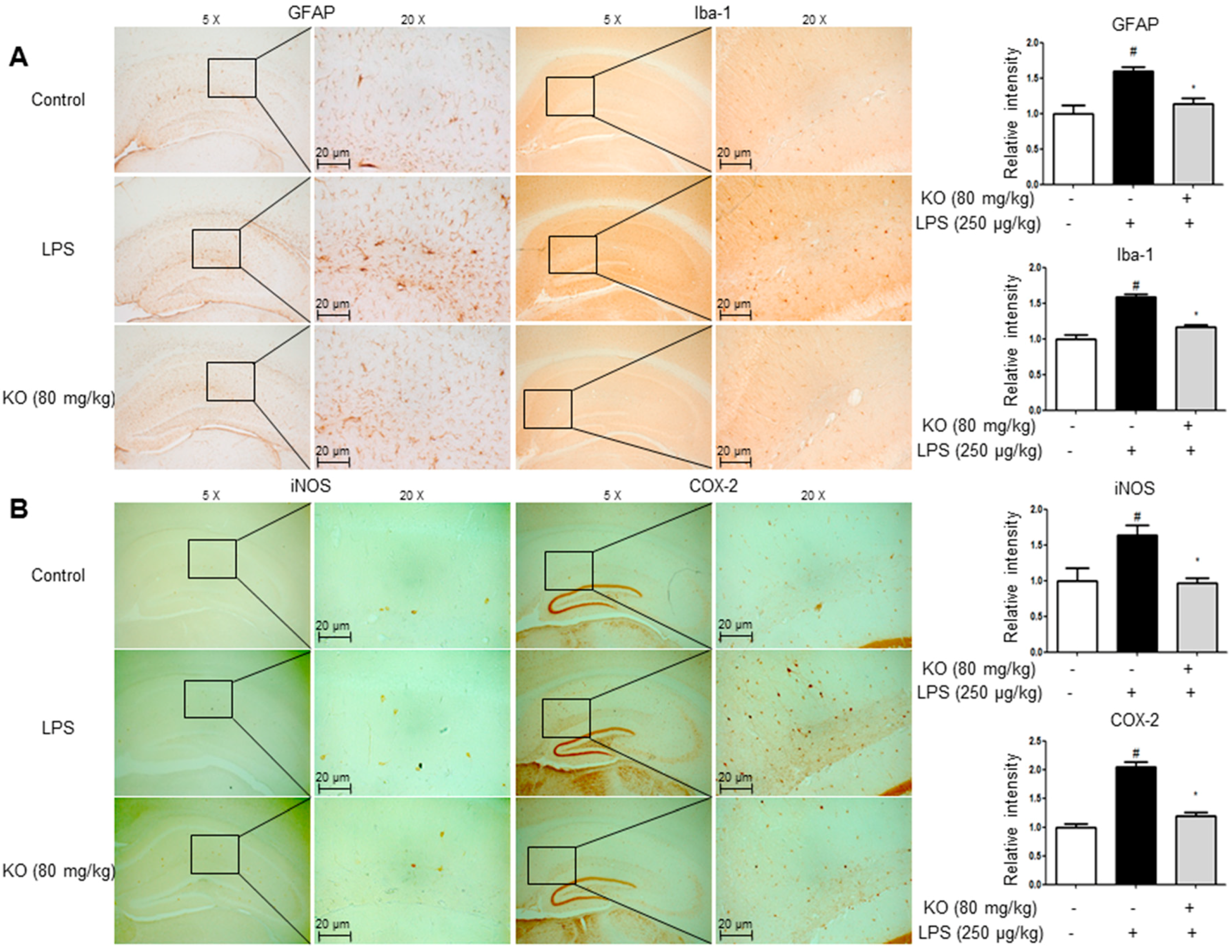Ijms 18 02554 g003 550