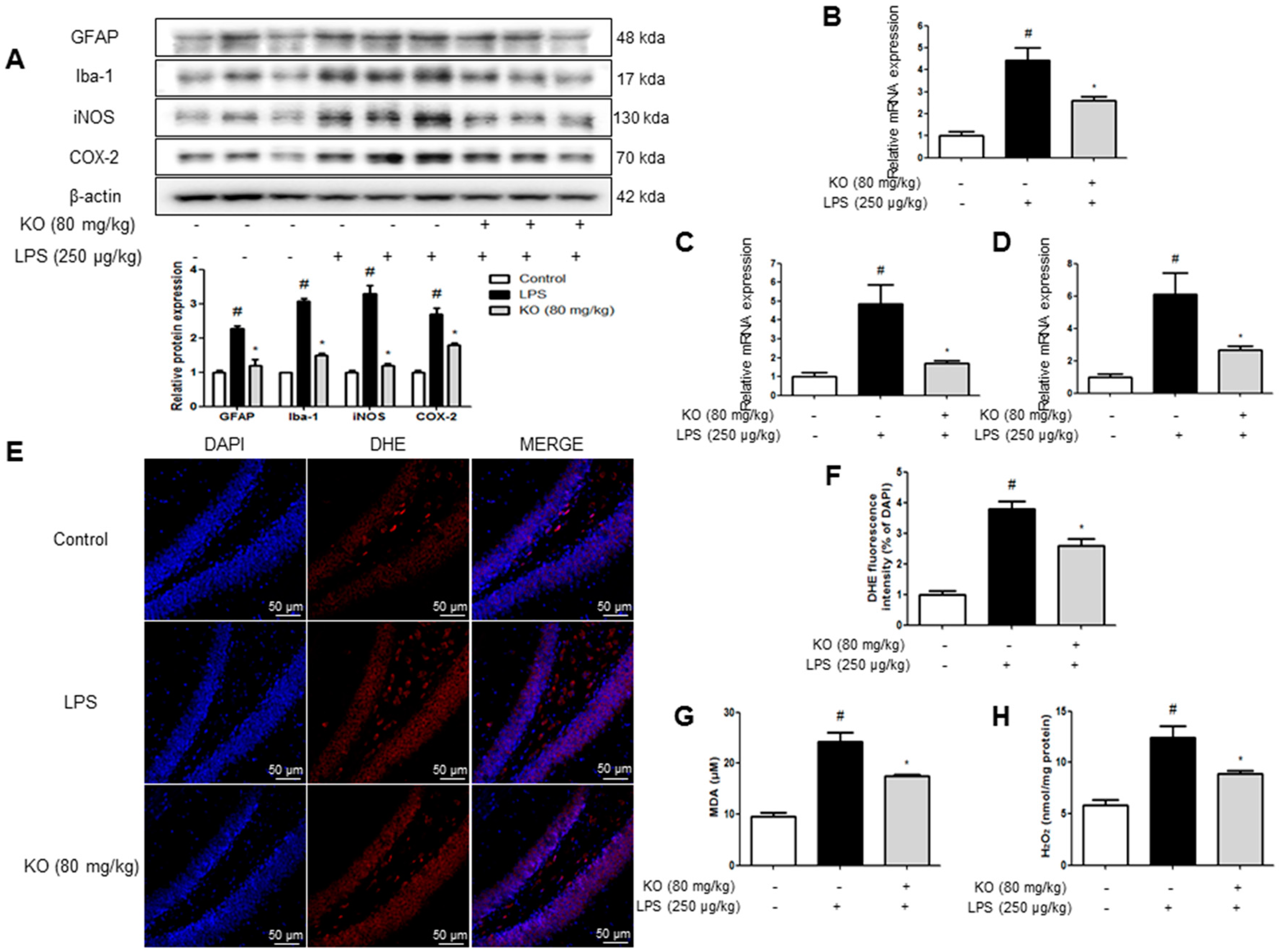 Ijms 18 02554 g004 550